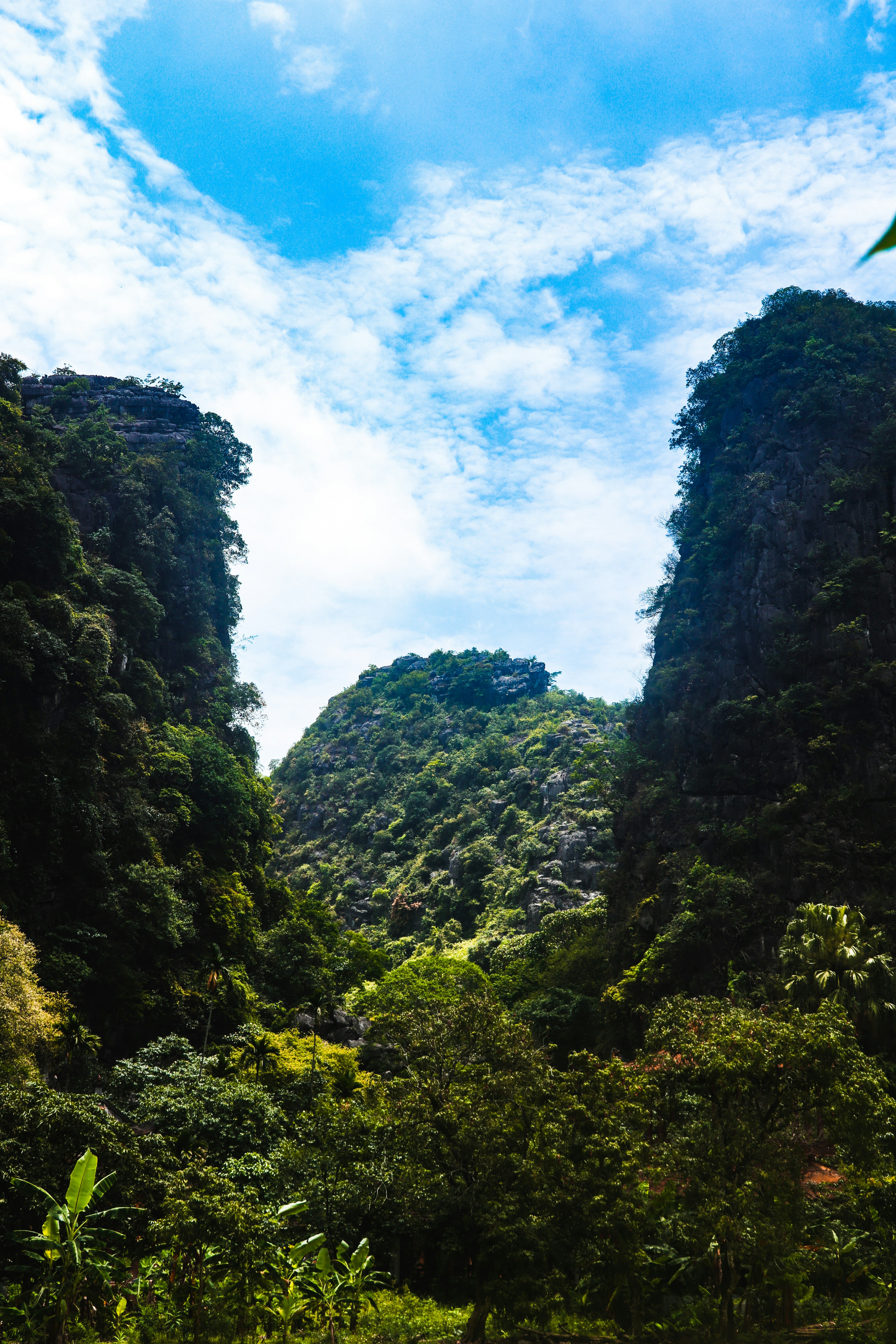 Photo by flying_dutchman_