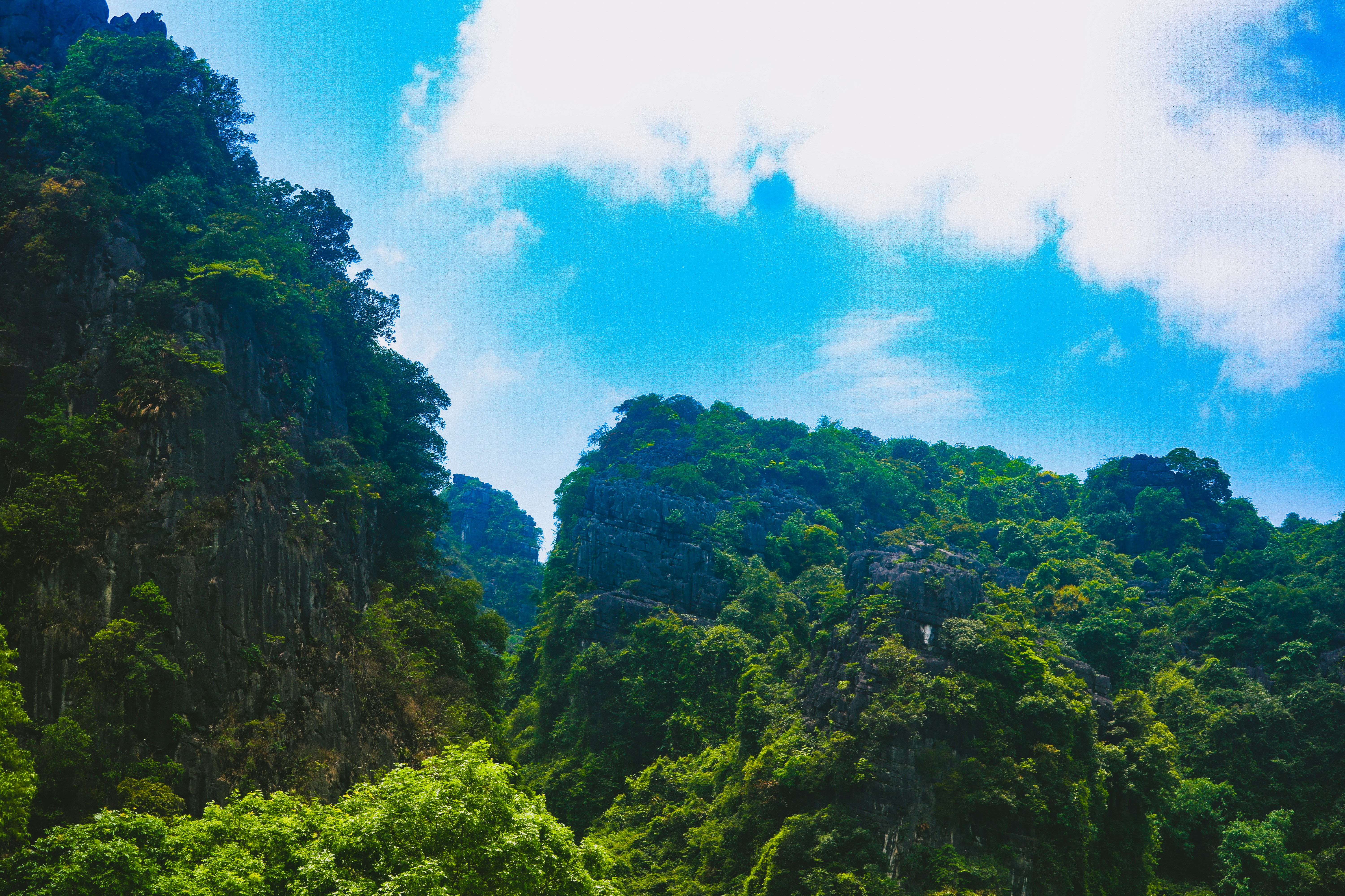 Photo by flying_dutchman_