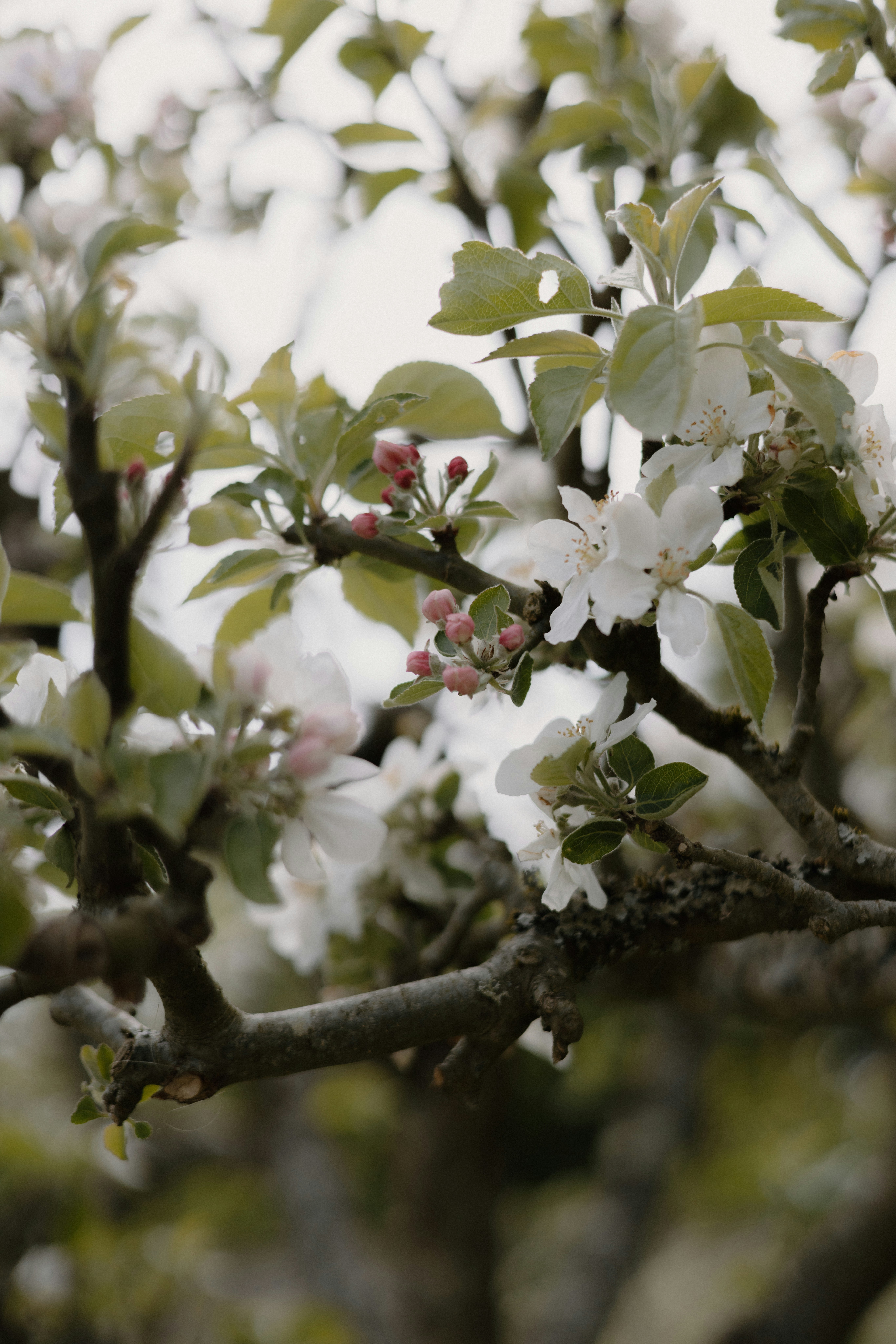 Photo by anniespratt