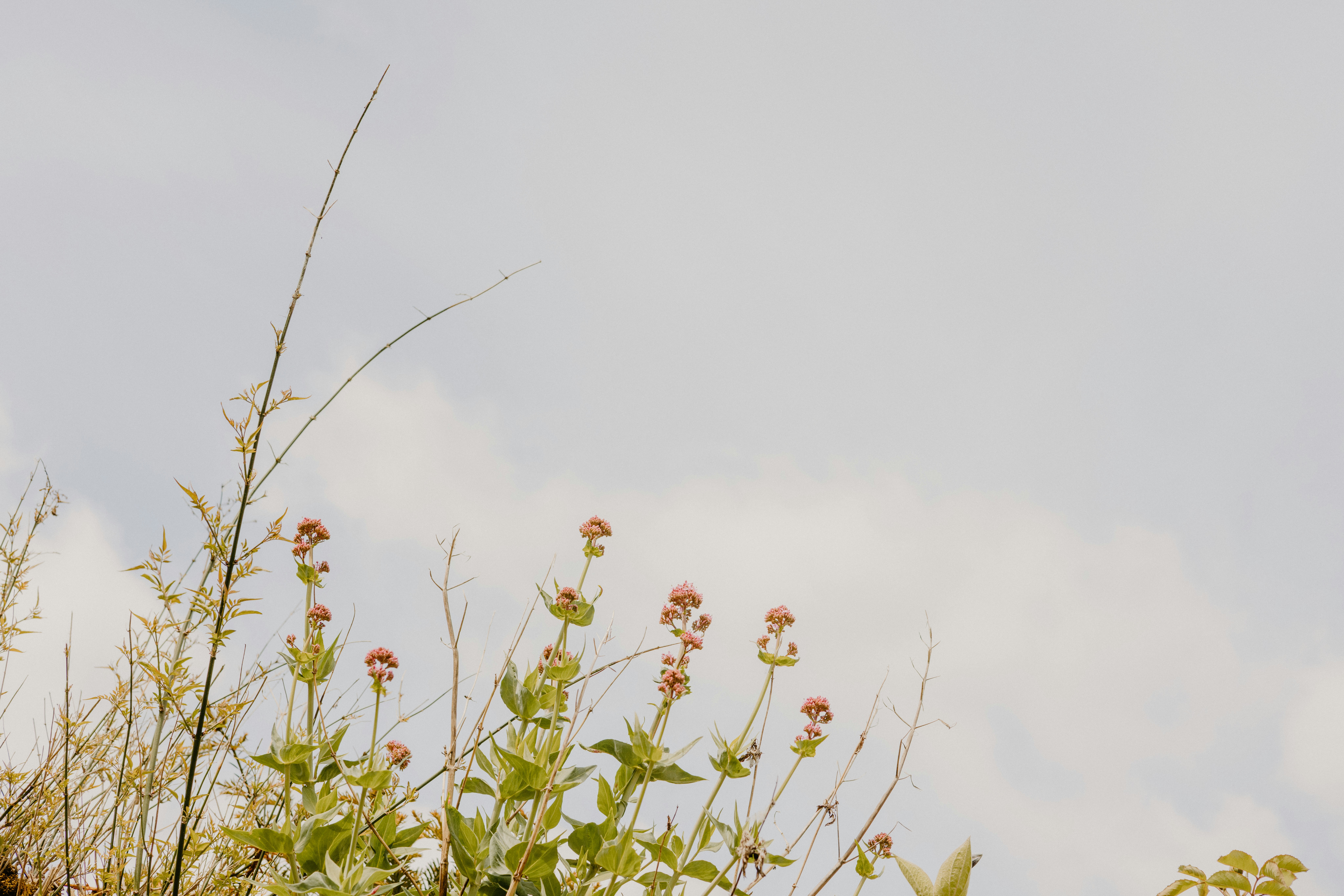 Photo by anniespratt