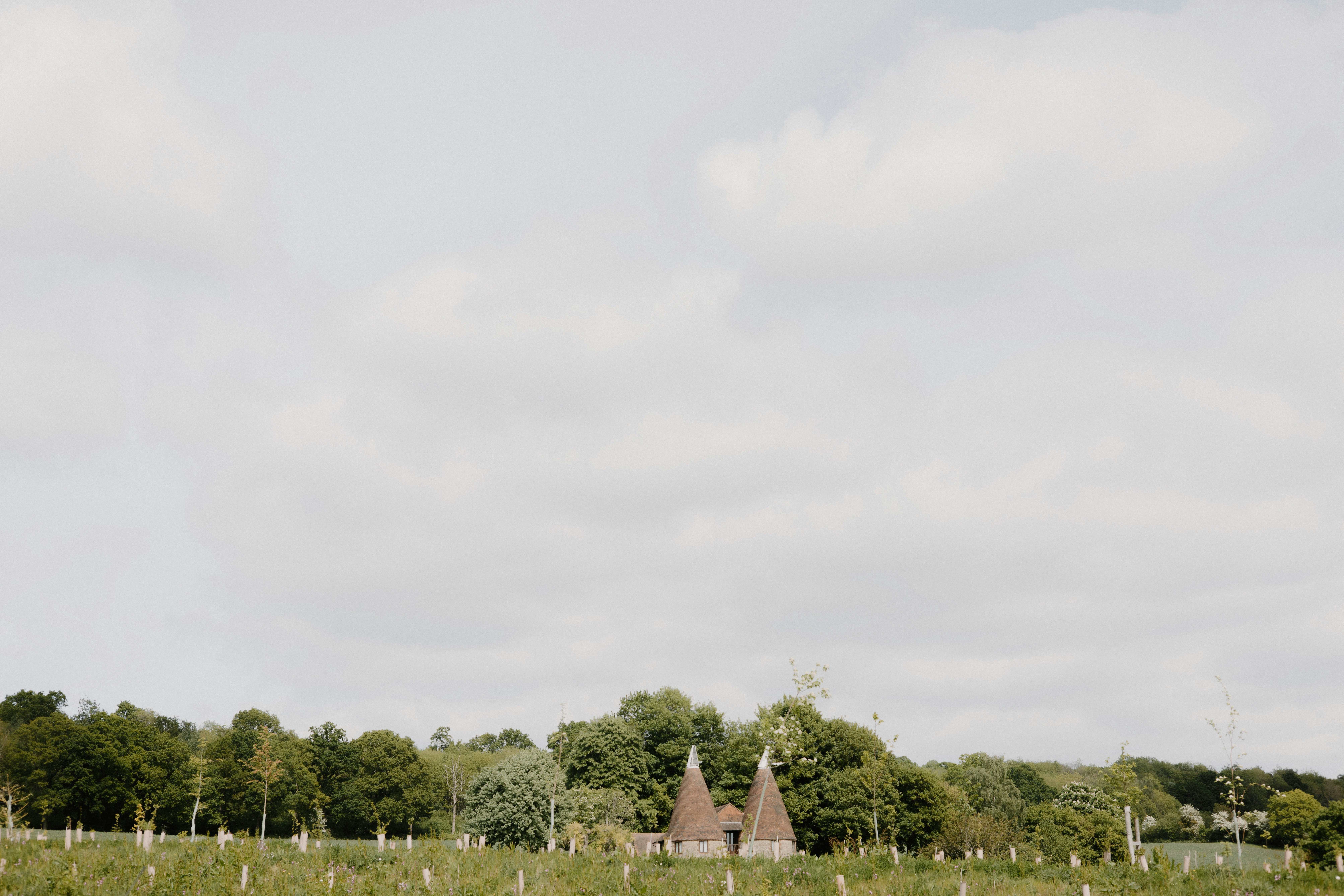 Photo by anniespratt