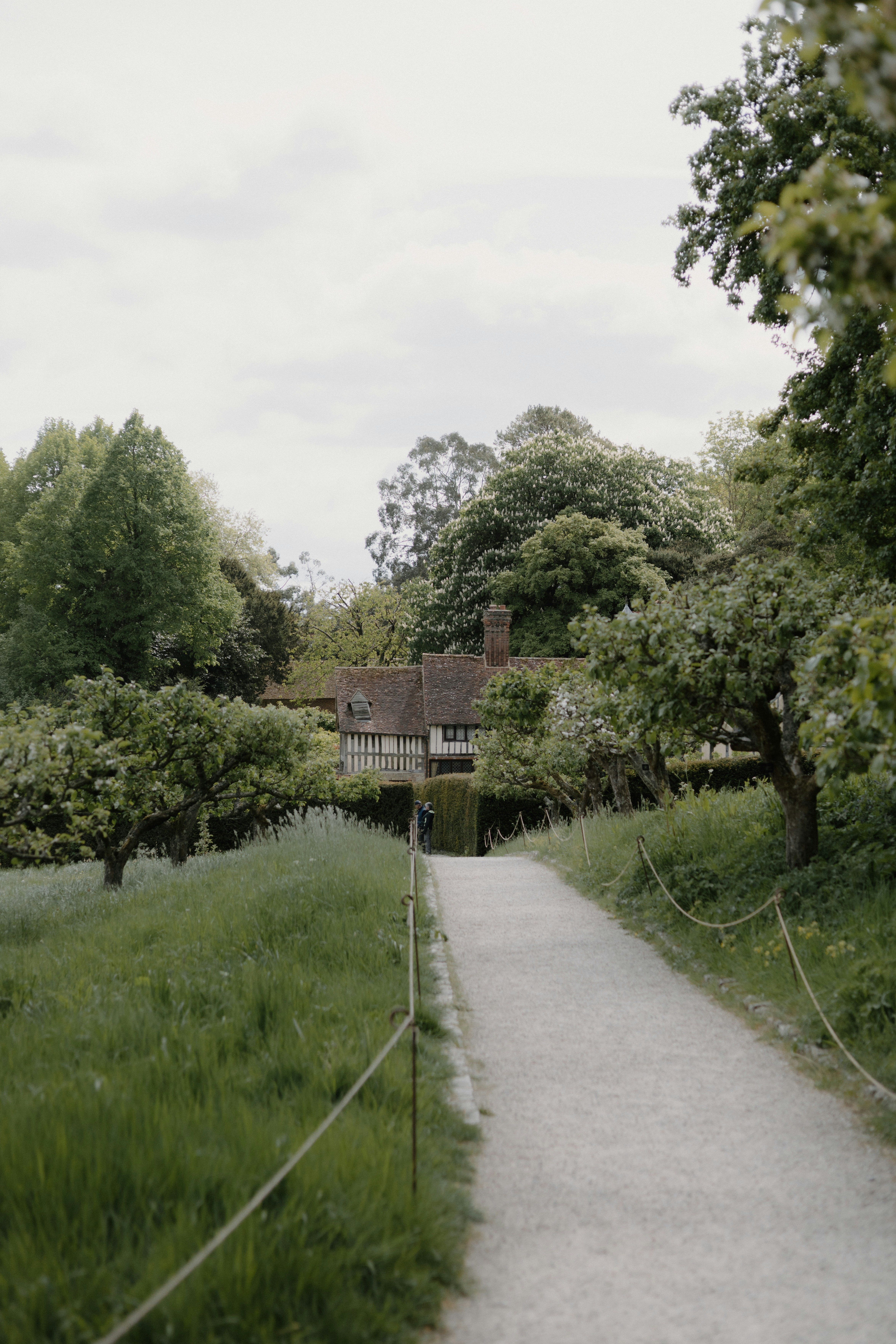 Photo by anniespratt