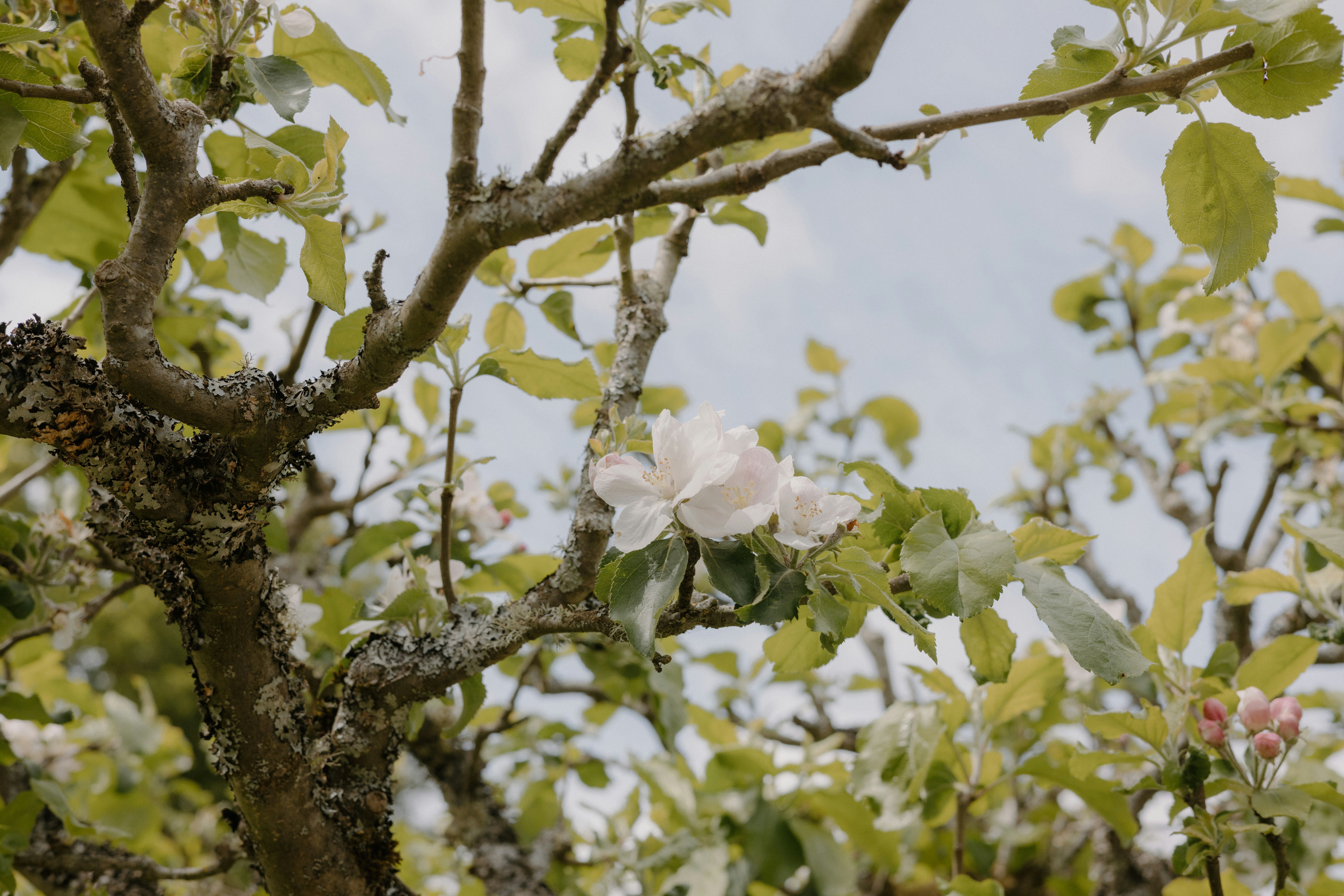 Photo by anniespratt