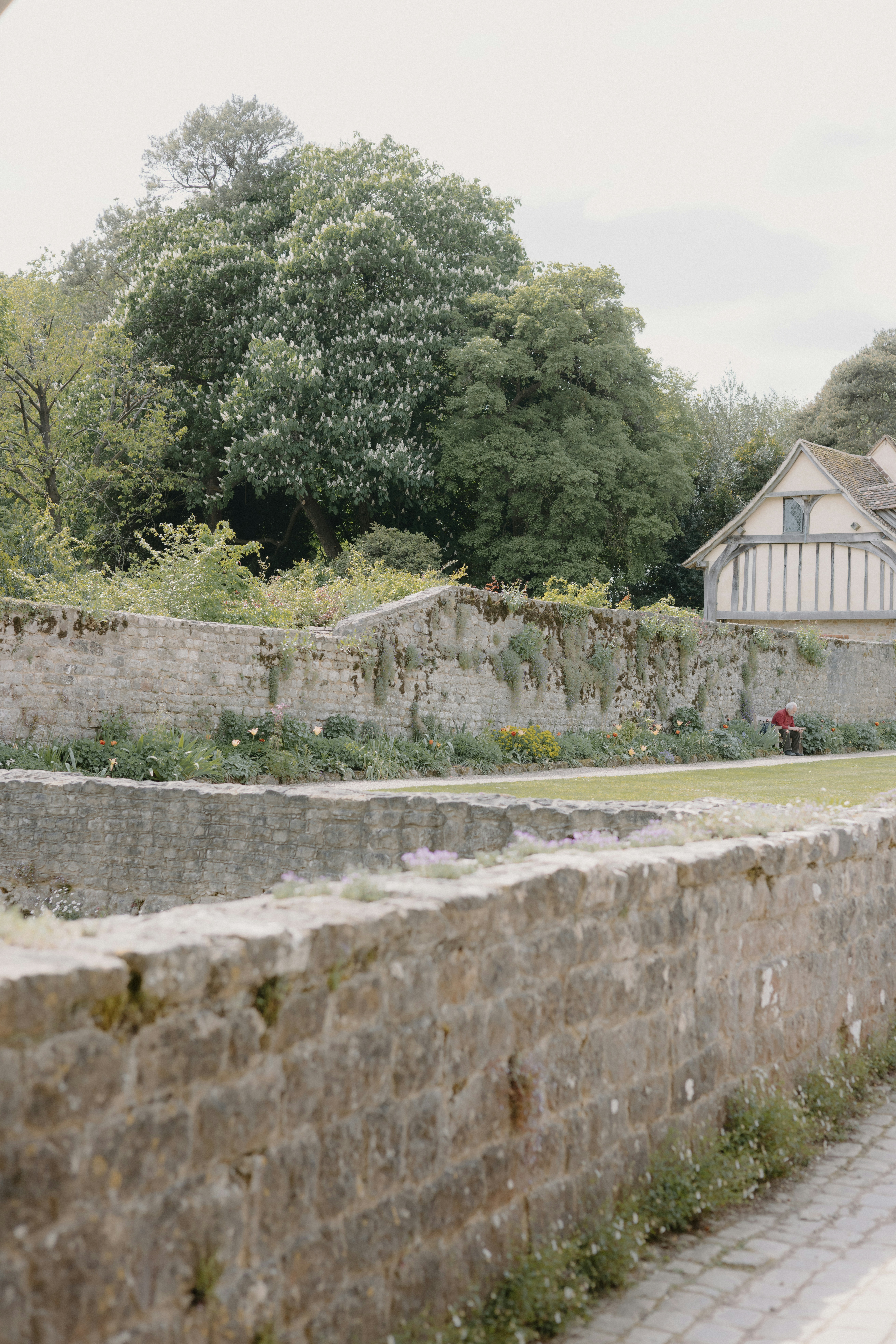 Photo by anniespratt