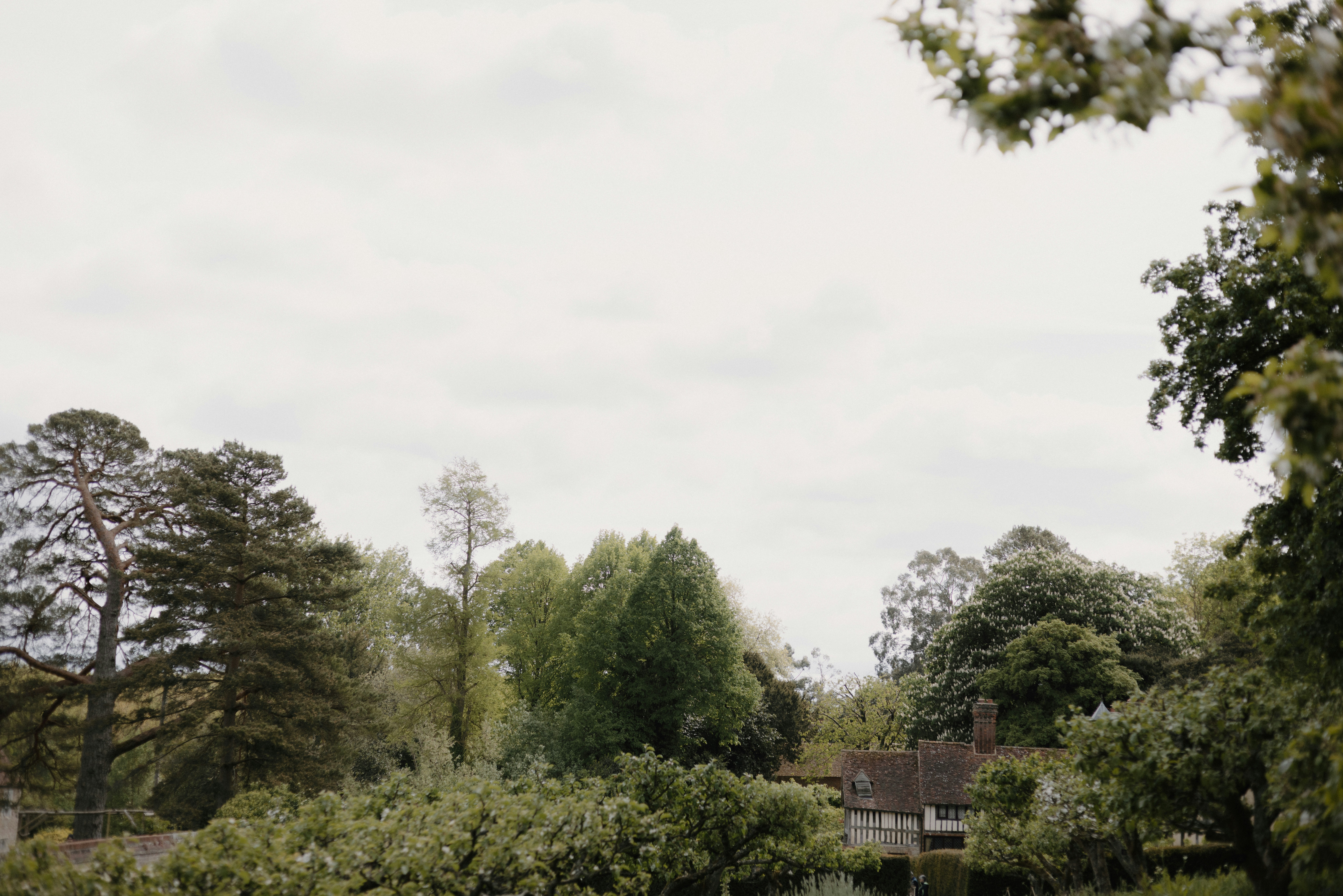 Photo by anniespratt