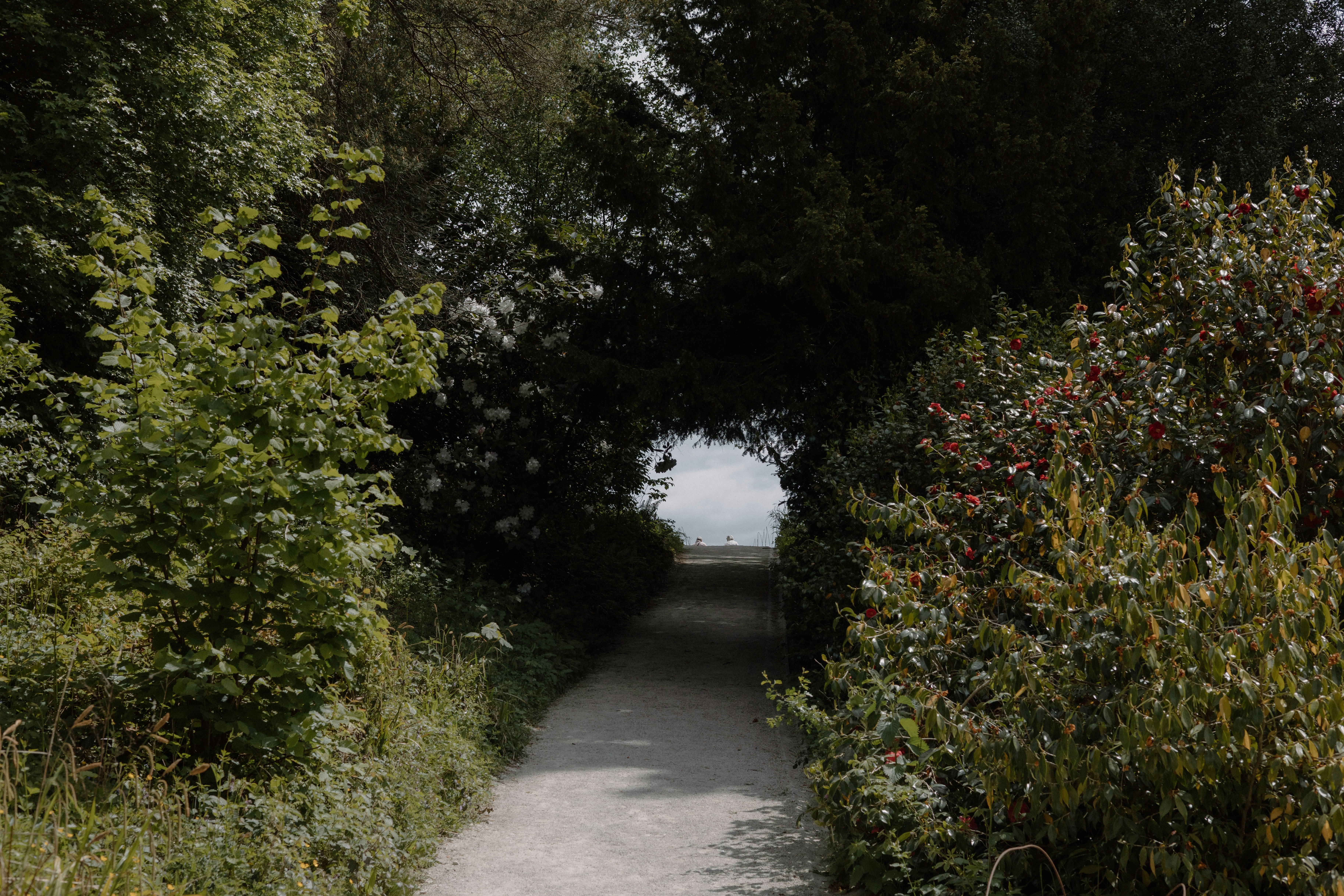 Photo by anniespratt