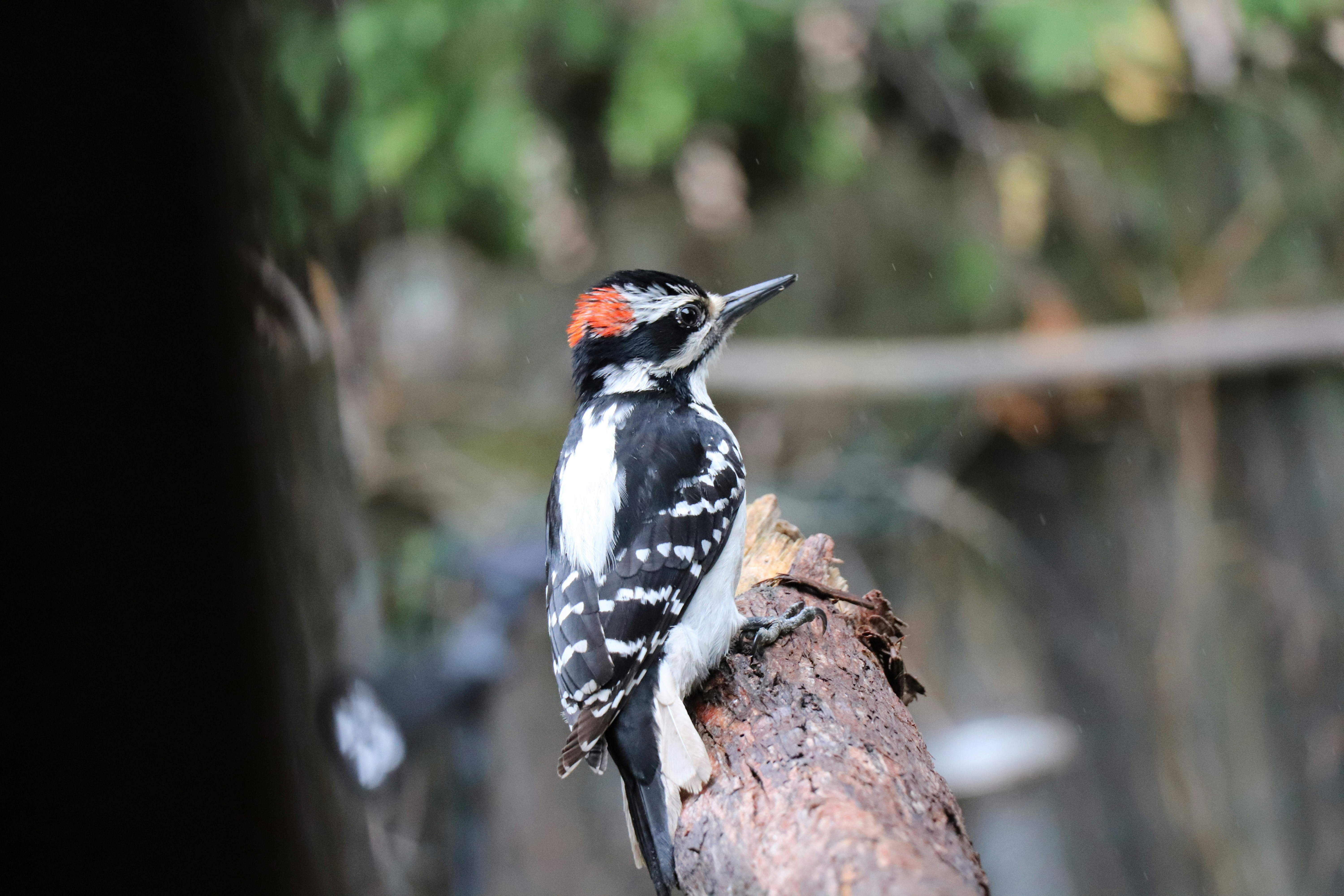 Photo by sandimagerart