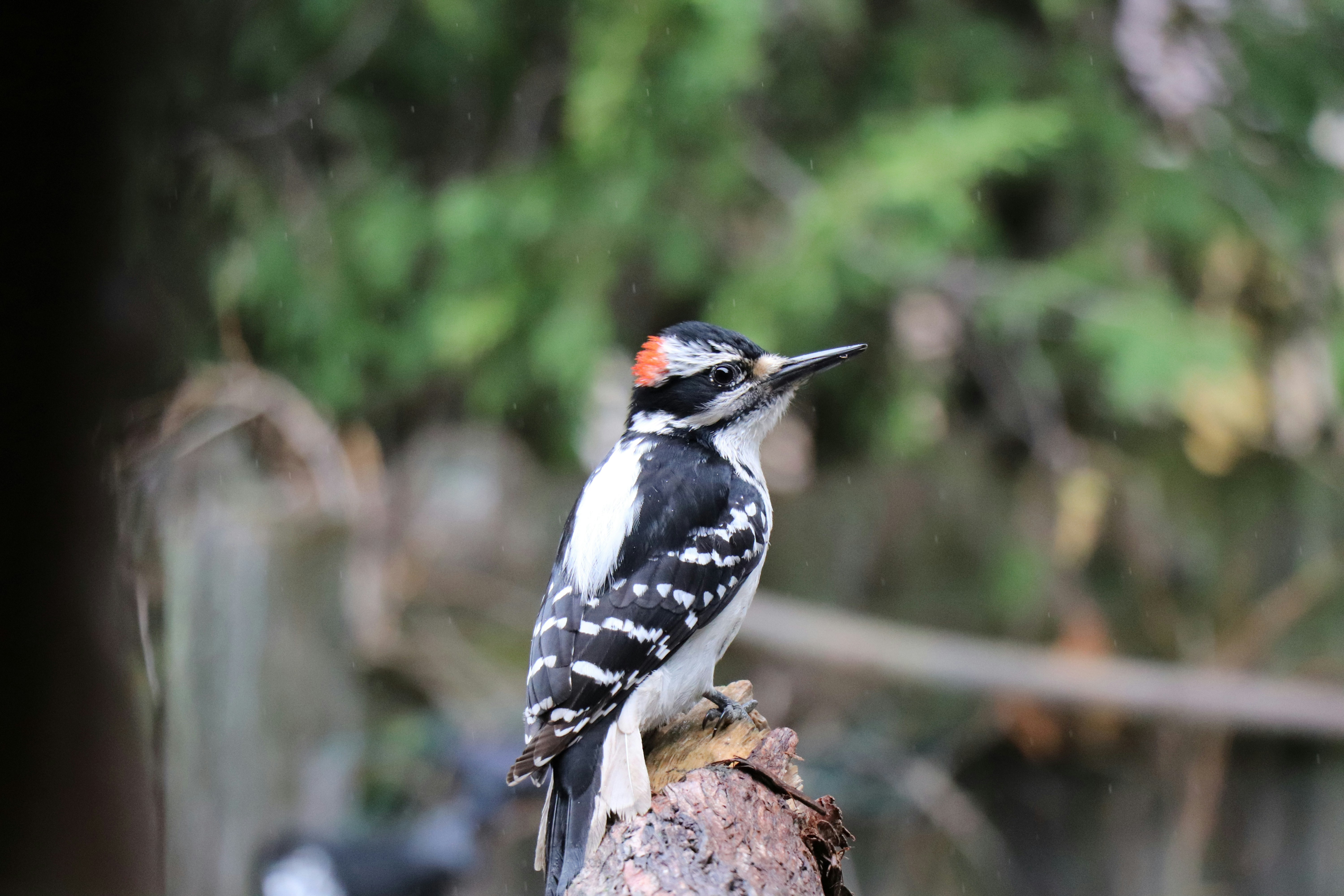 Photo by sandimagerart