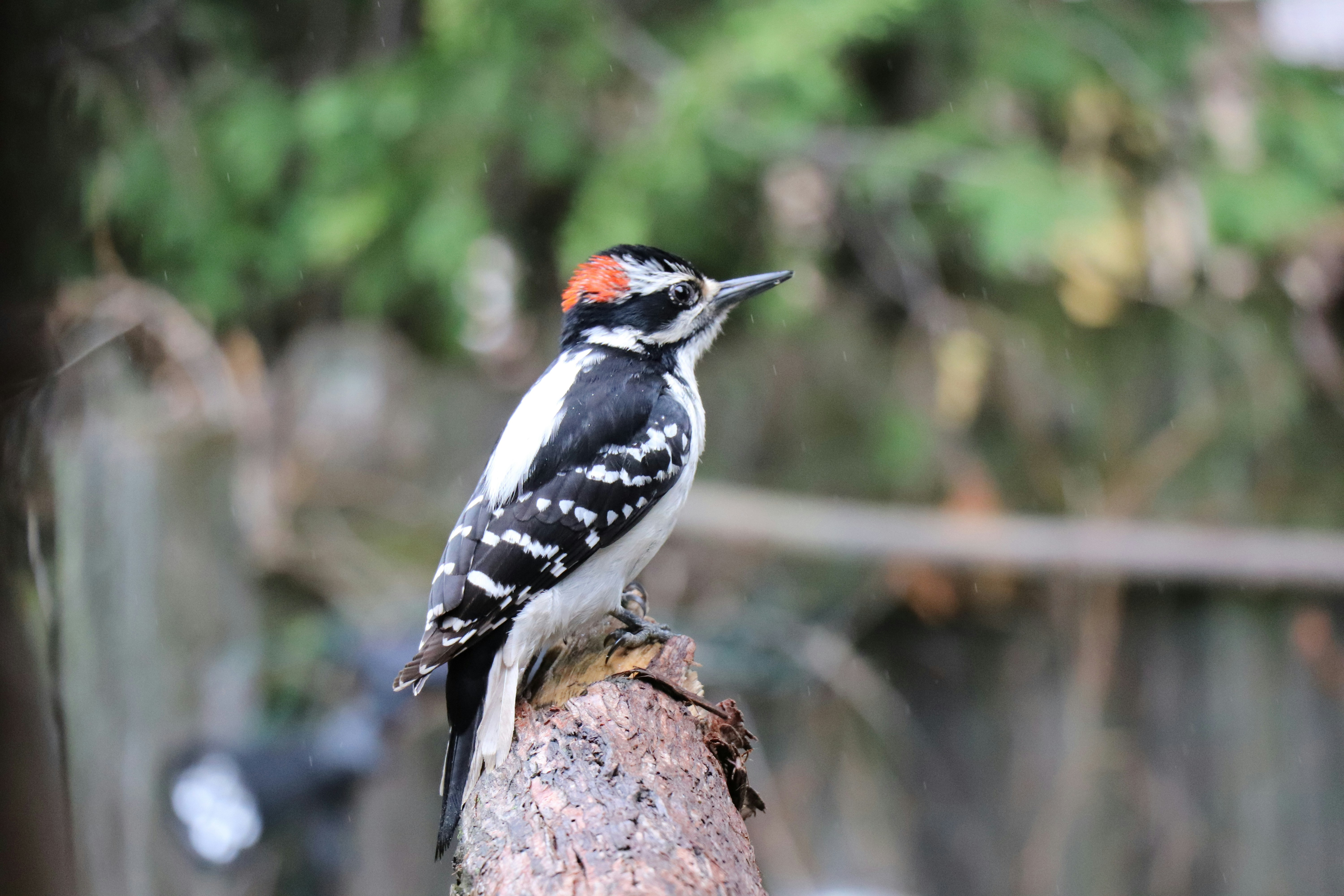 Photo by sandimagerart