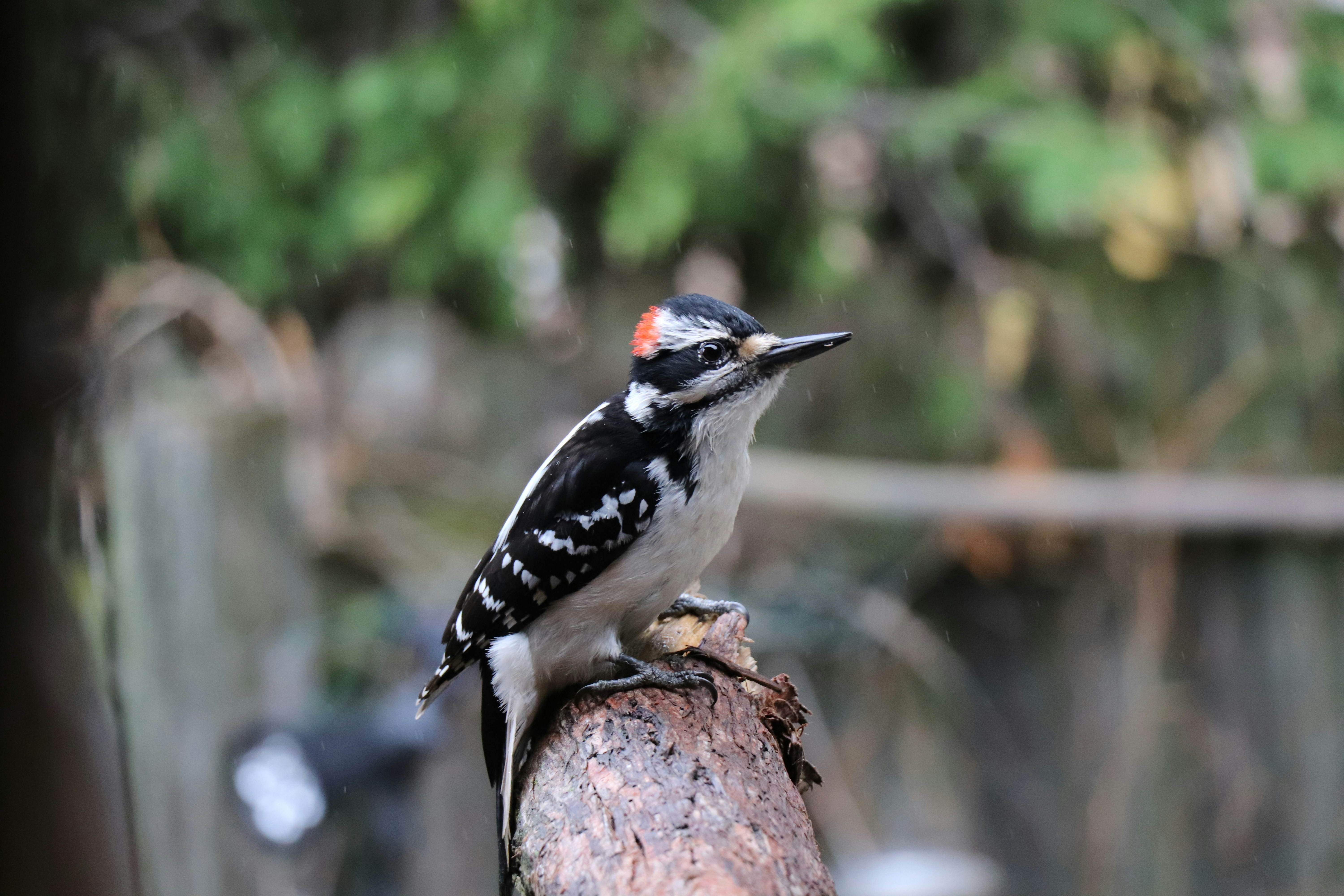 Photo by sandimagerart