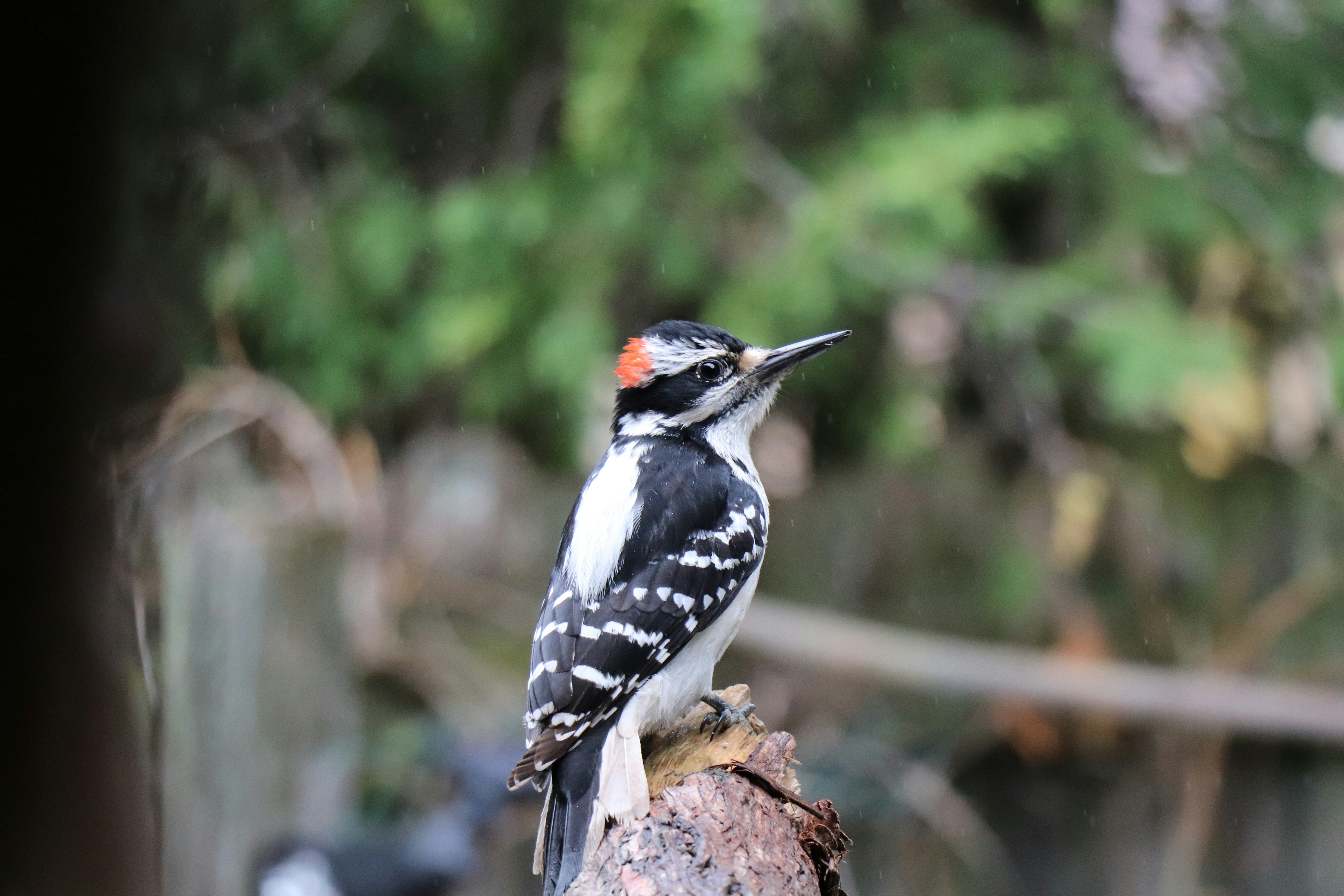 Photo by sandimagerart