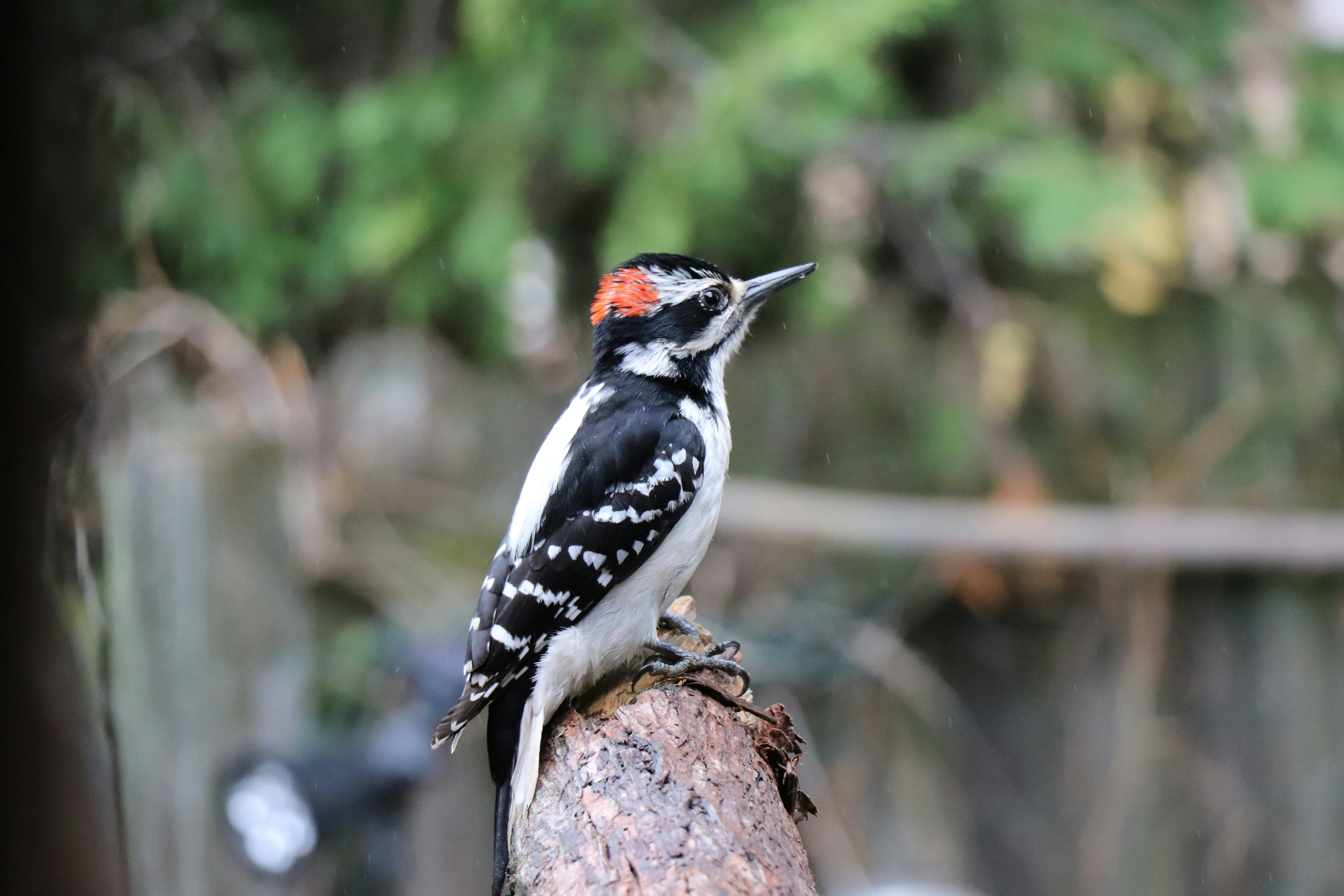 Photo by sandimagerart