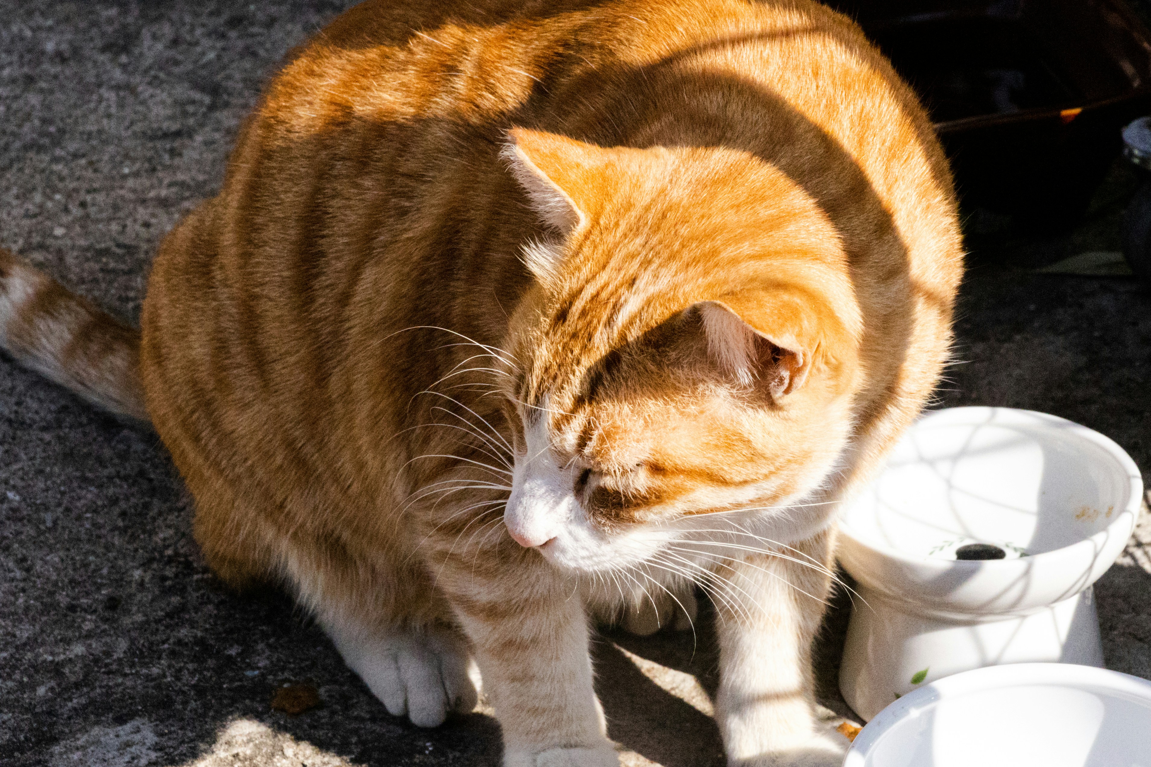 Photo by chingwai0820