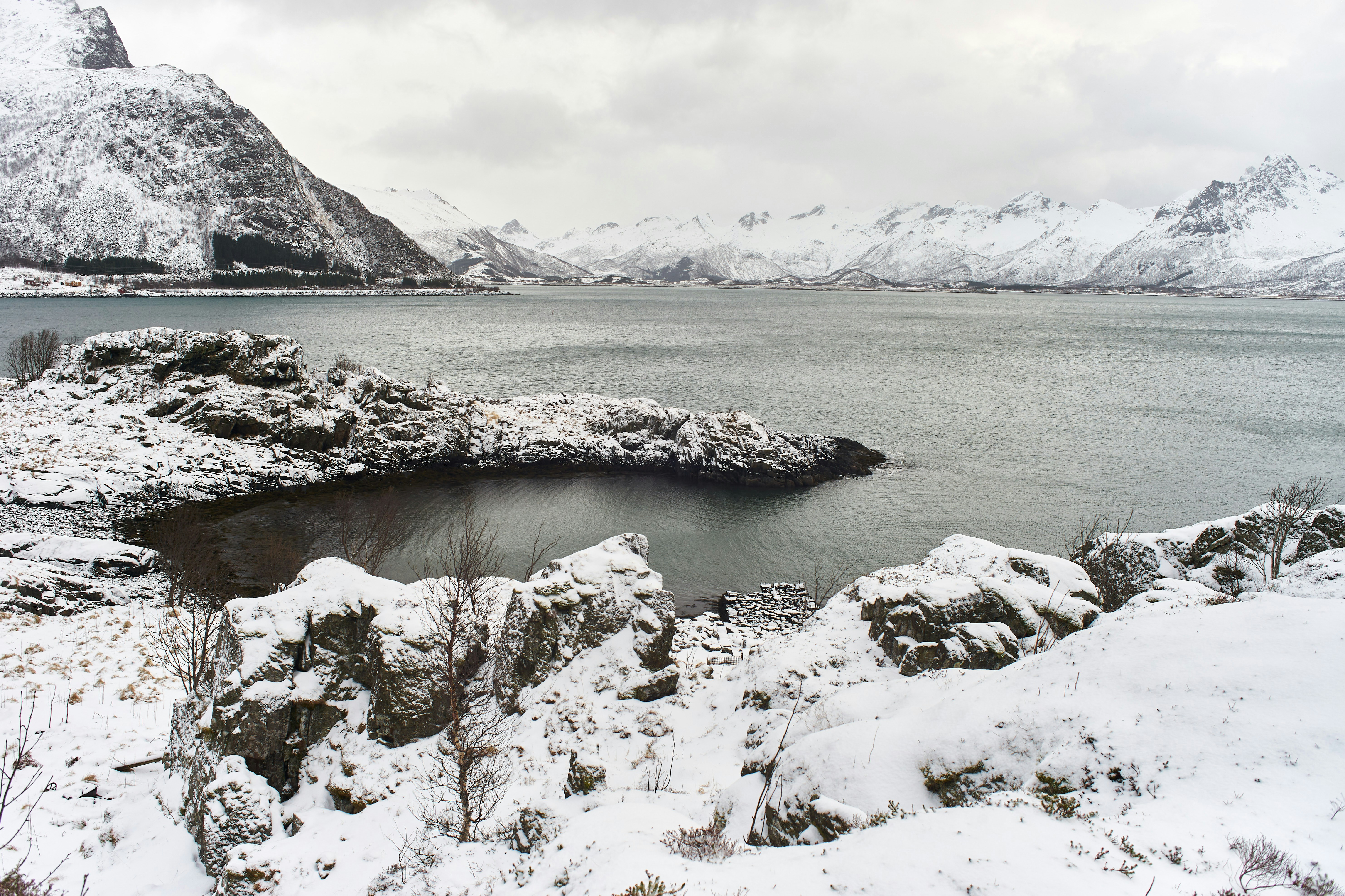 Photo by wolfgang_hasselmann