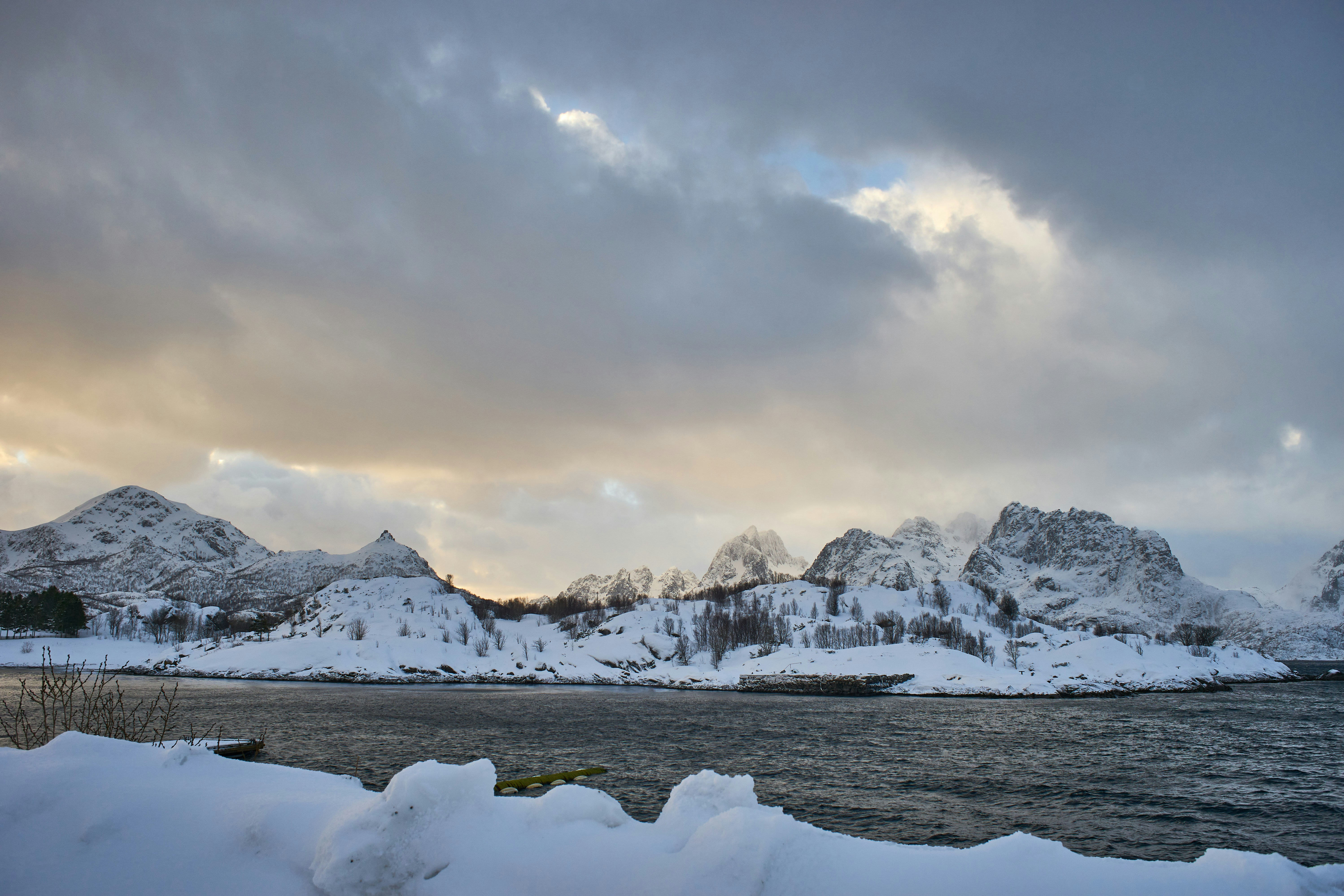 Photo by wolfgang_hasselmann