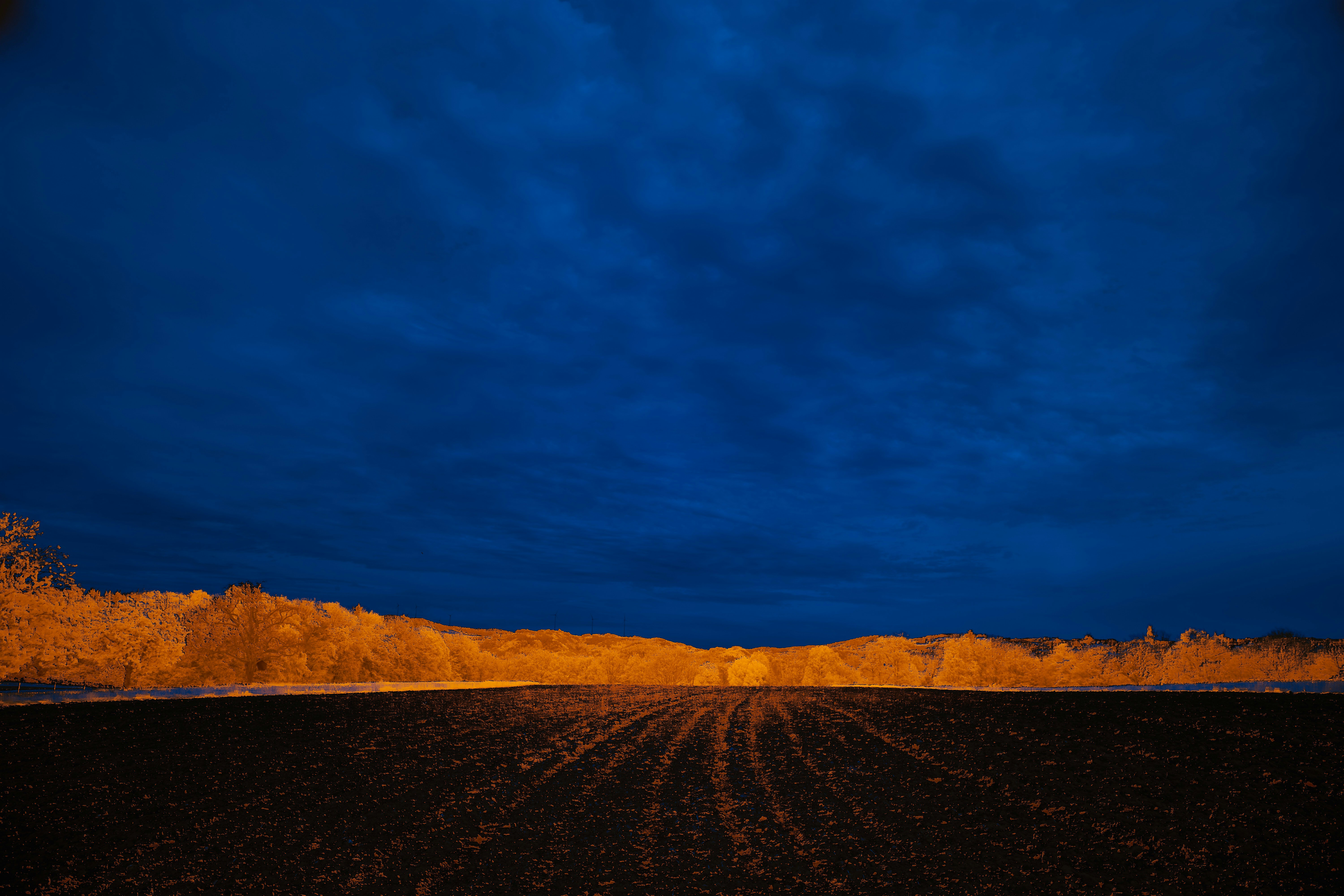 Photo by wolfgang_hasselmann