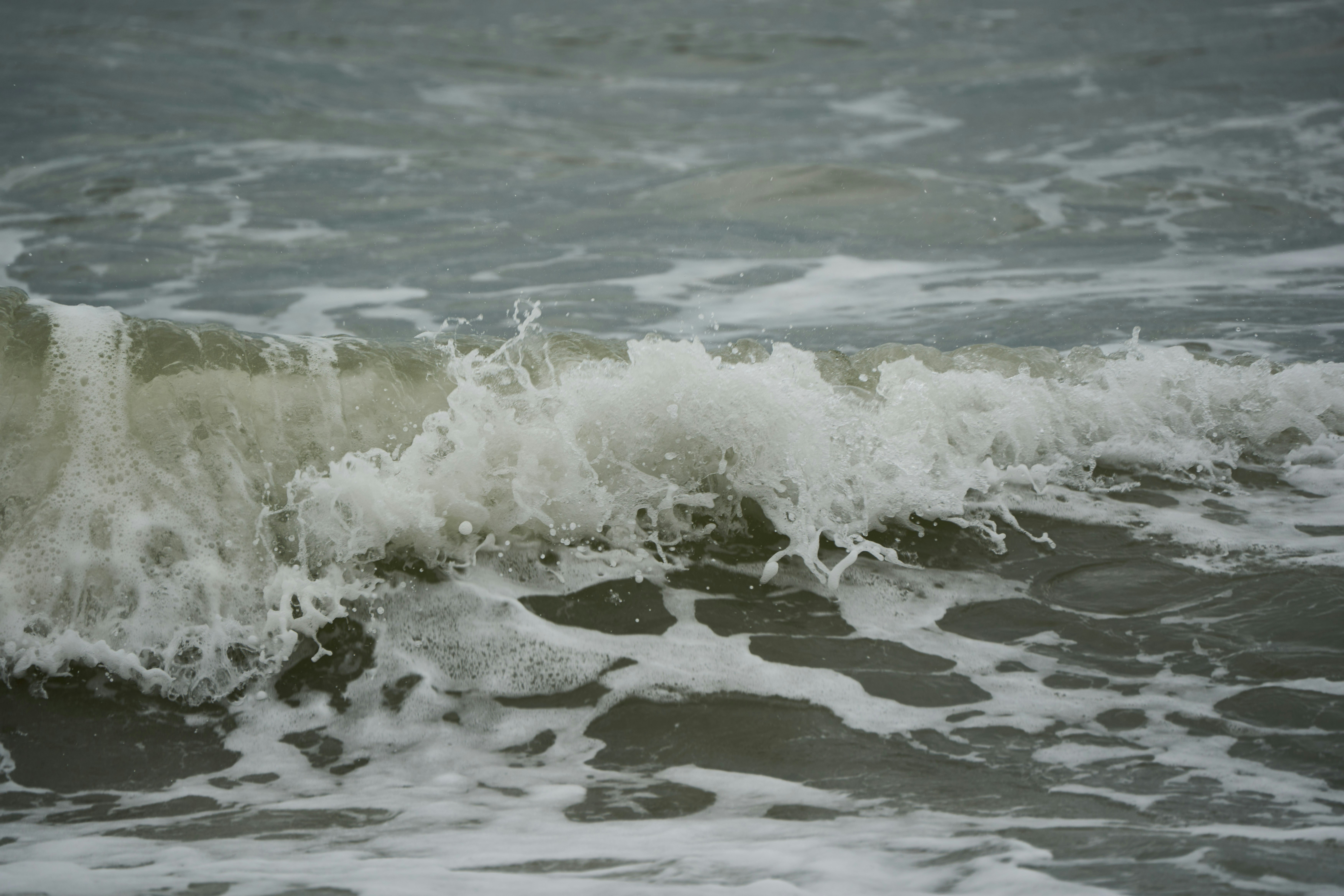 Photo by wolfgang_hasselmann