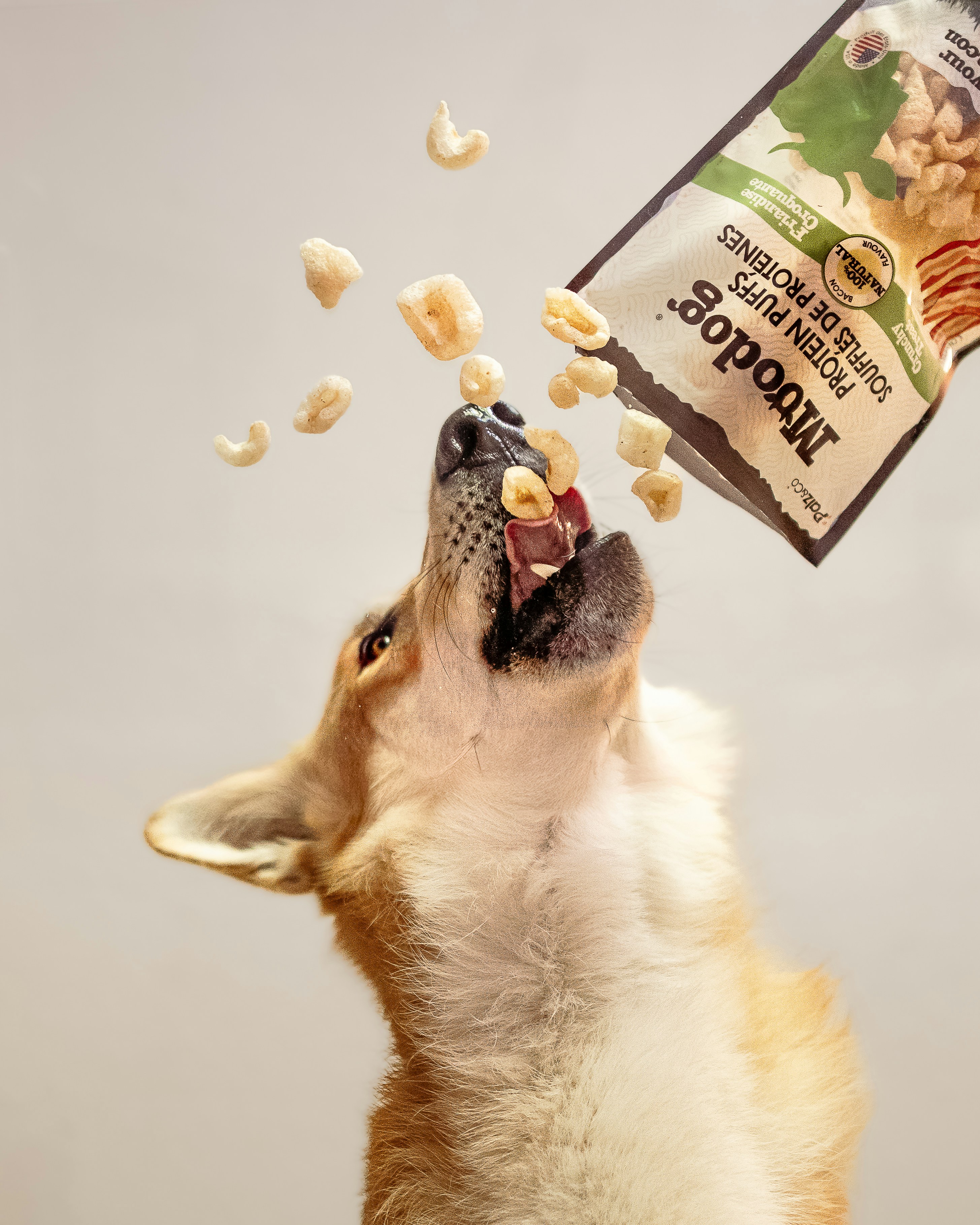 A dog catches protein puffs from a bag.