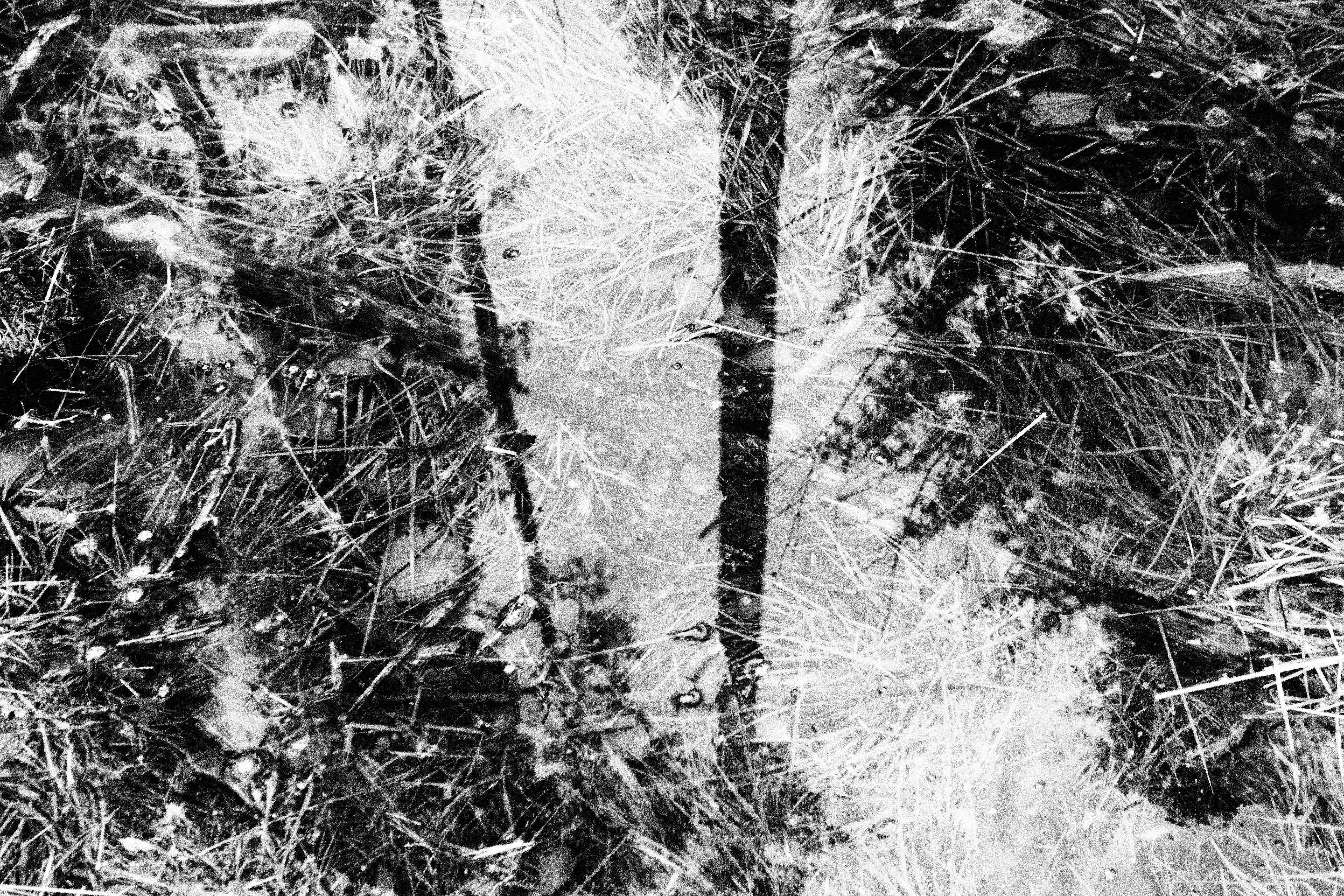 Photo by abstract_black_and_white