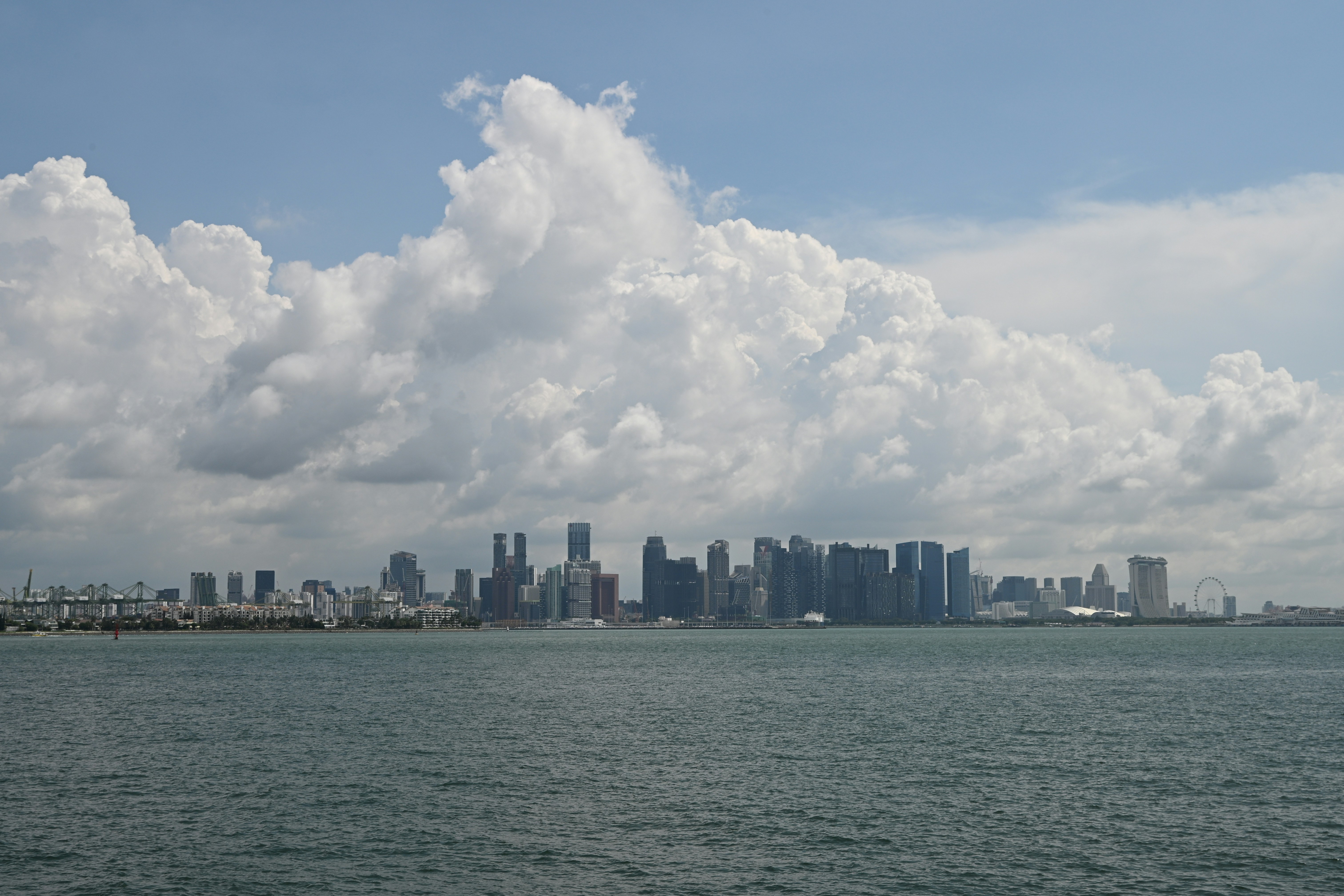 Chicago skyline from Northerly Island with nature in the foreground - Chicago skyline views