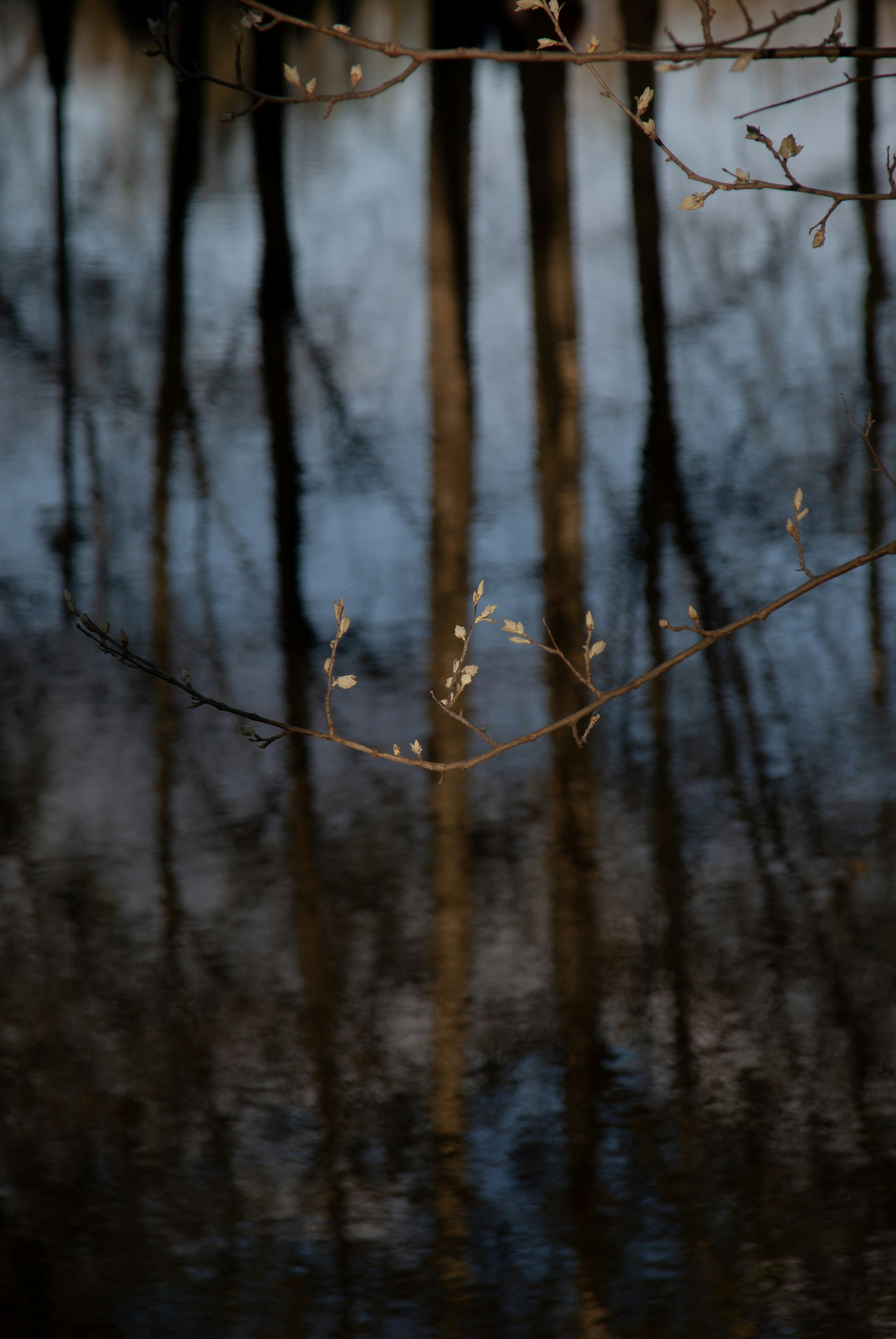 Photo by evavi17