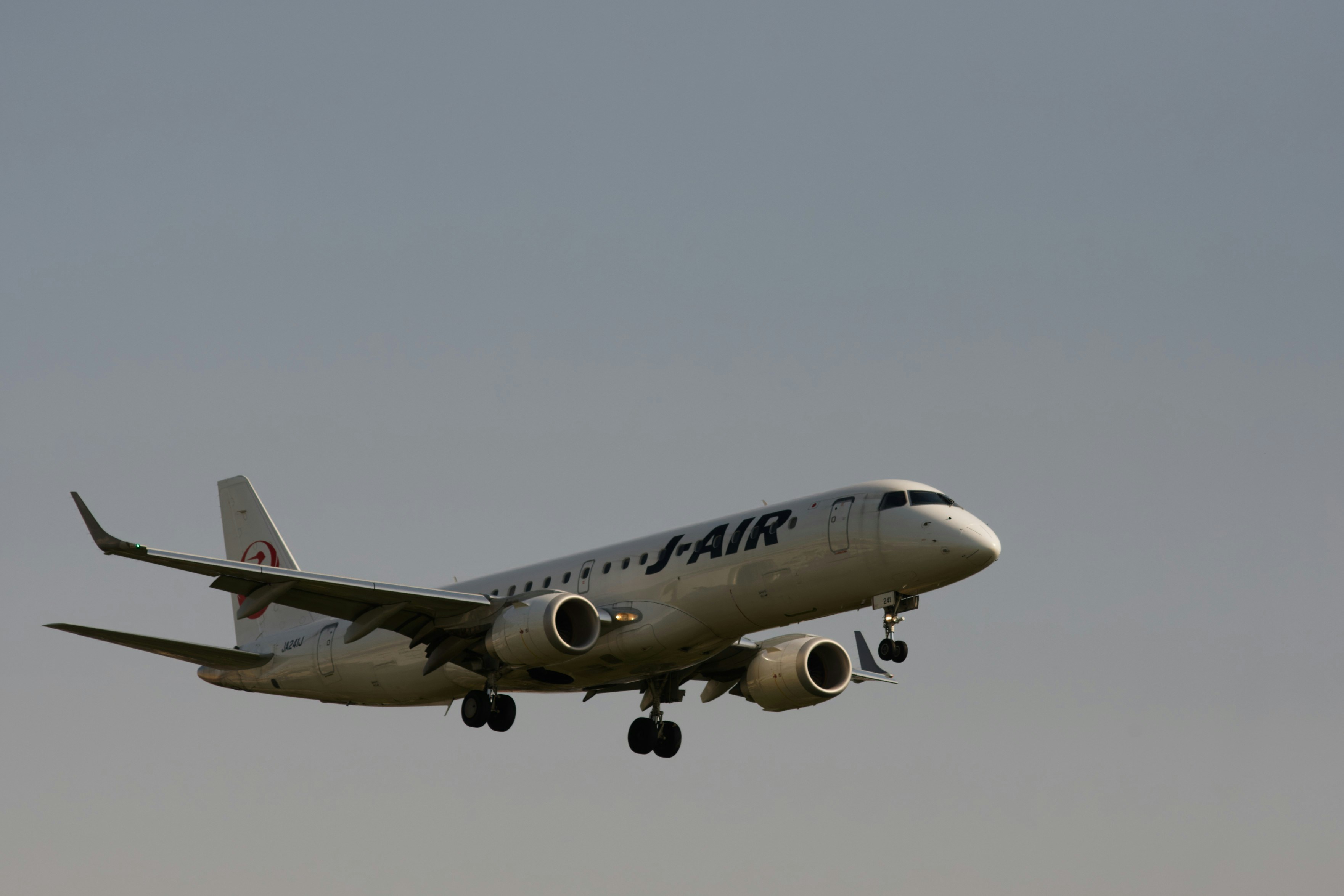 Photo by da_shika_photo