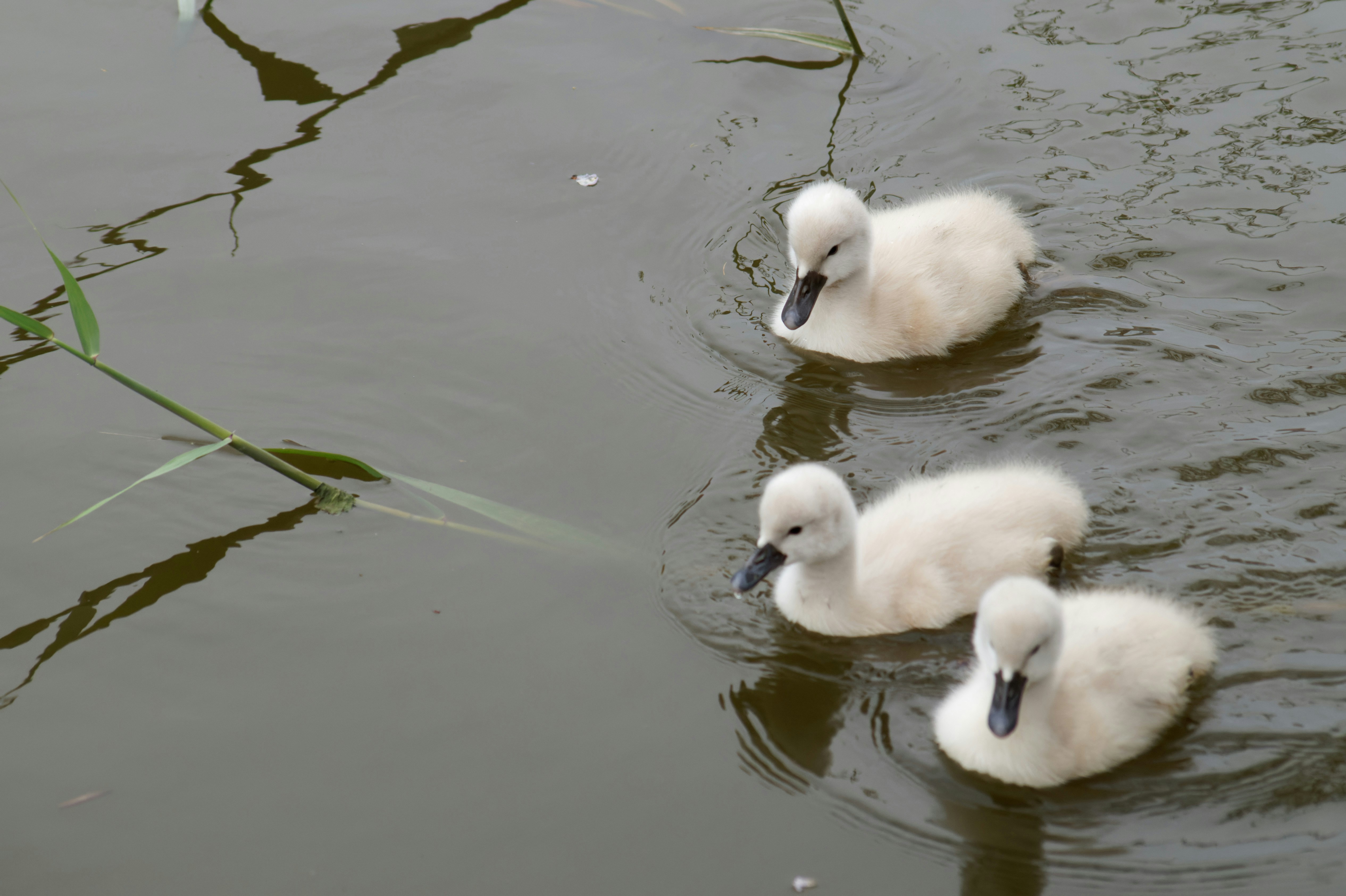 Photo by da_shika_photo