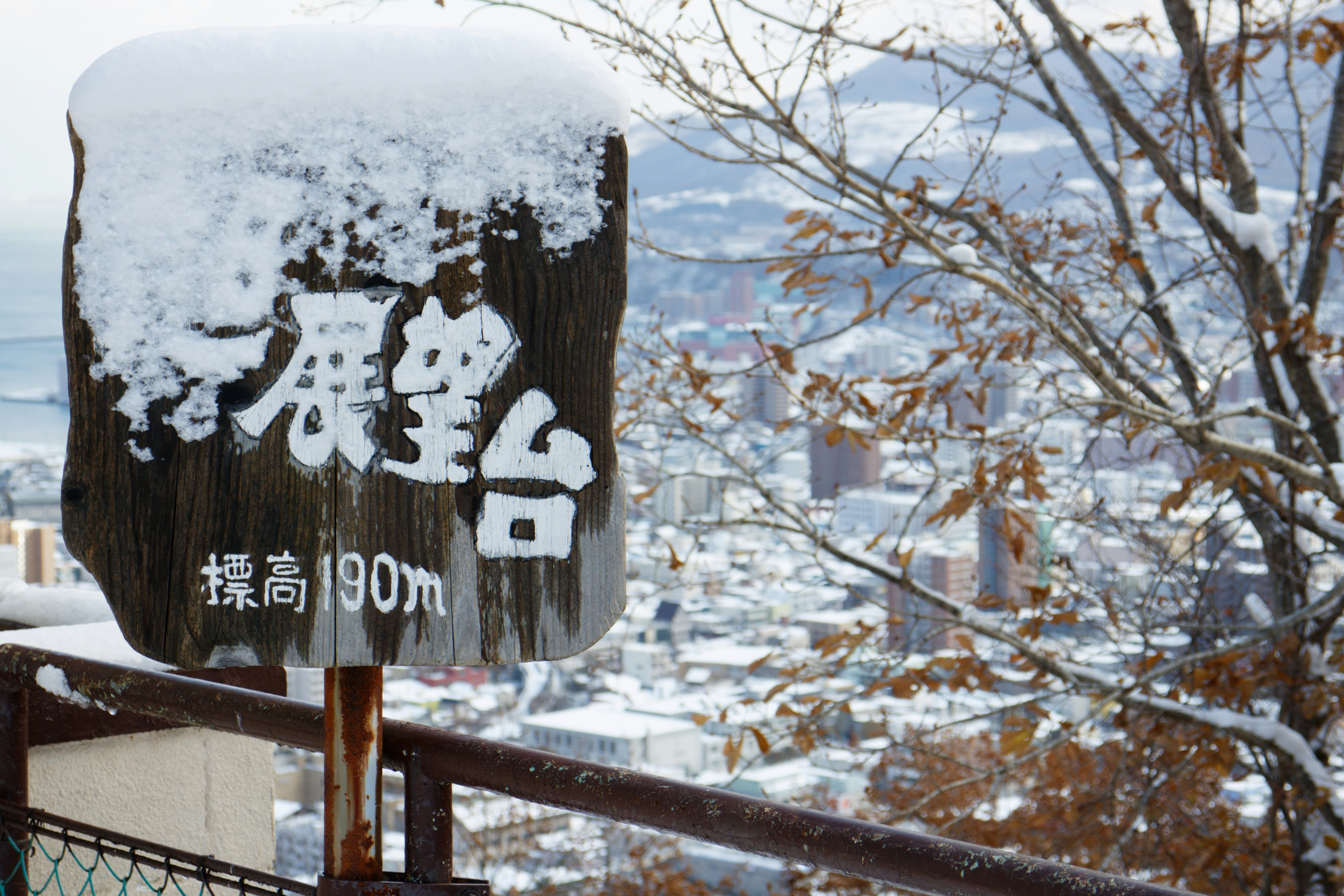 Minecraft: Everything You Need To Know About The Life In The Woods Renaissance Mod