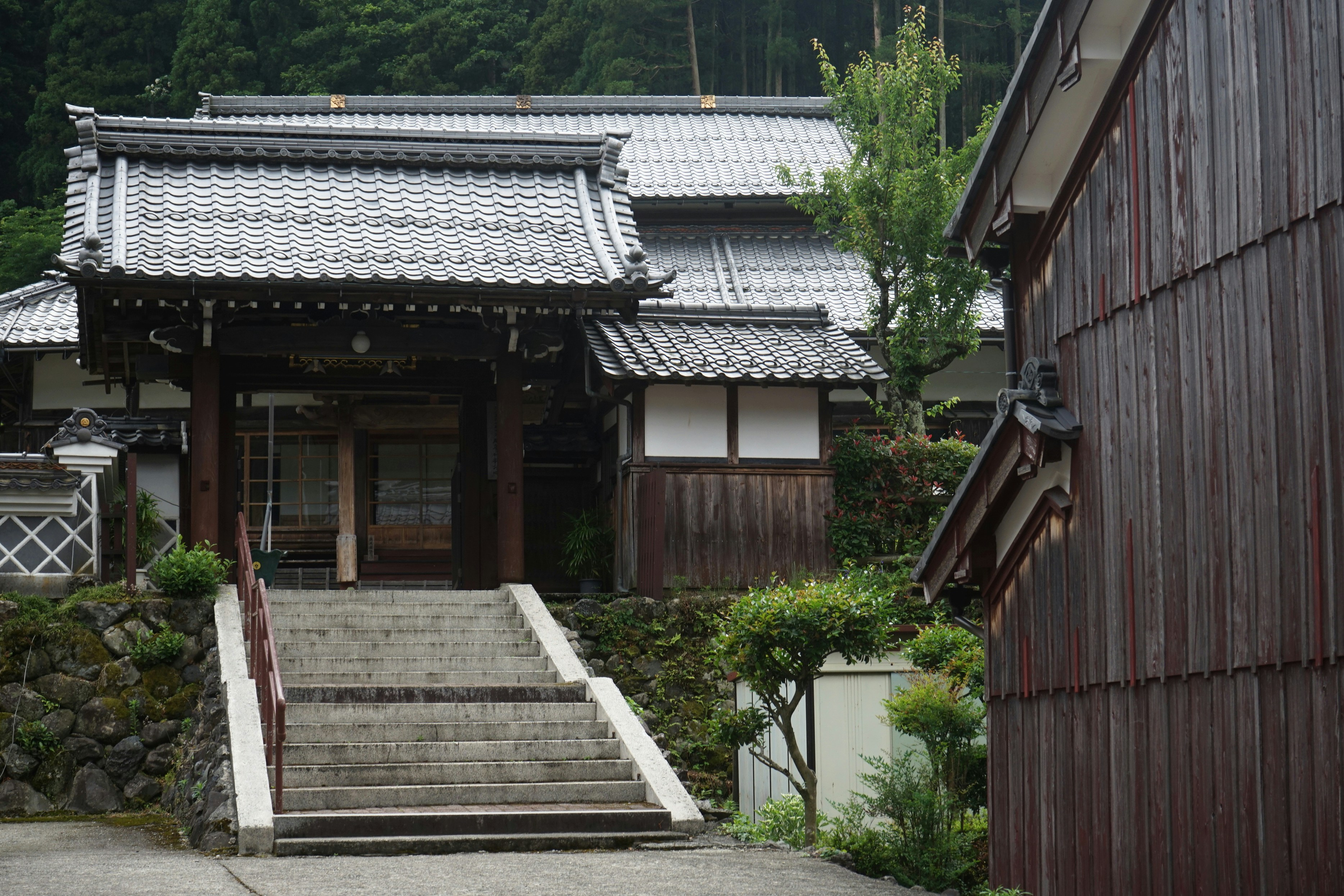 Photo by da_shika_photo