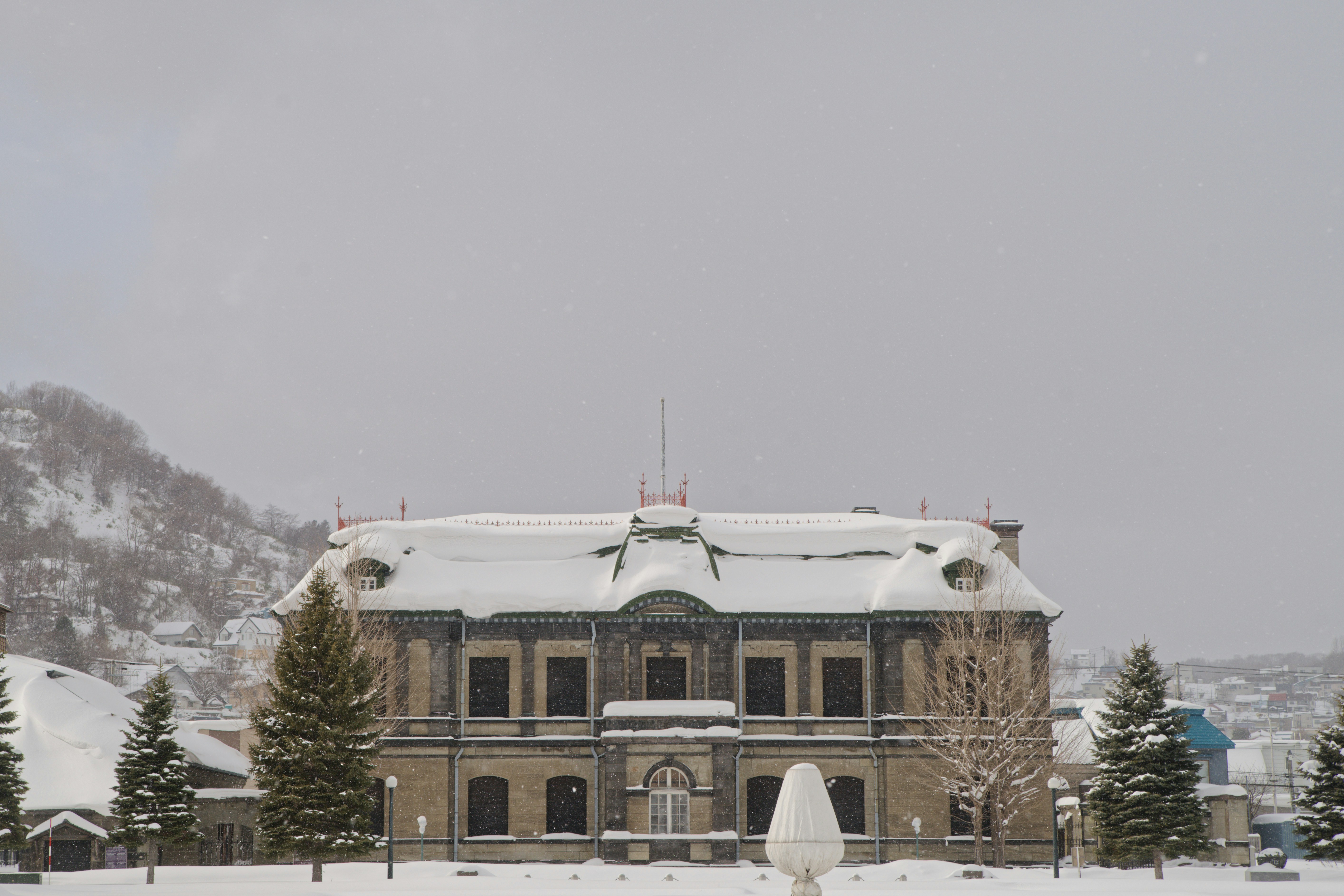 Photo by da_shika_photo