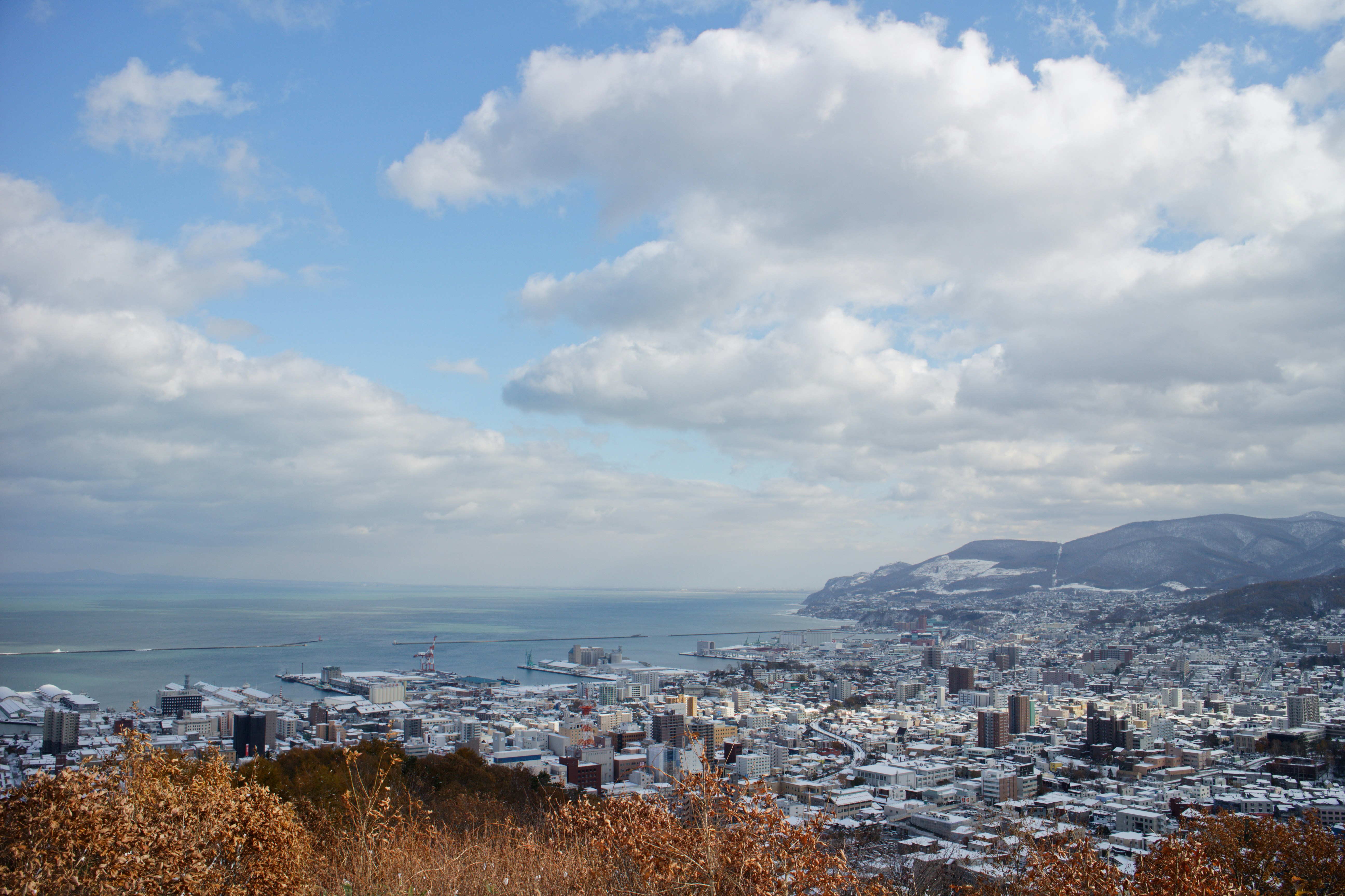 Photo by da_shika_photo