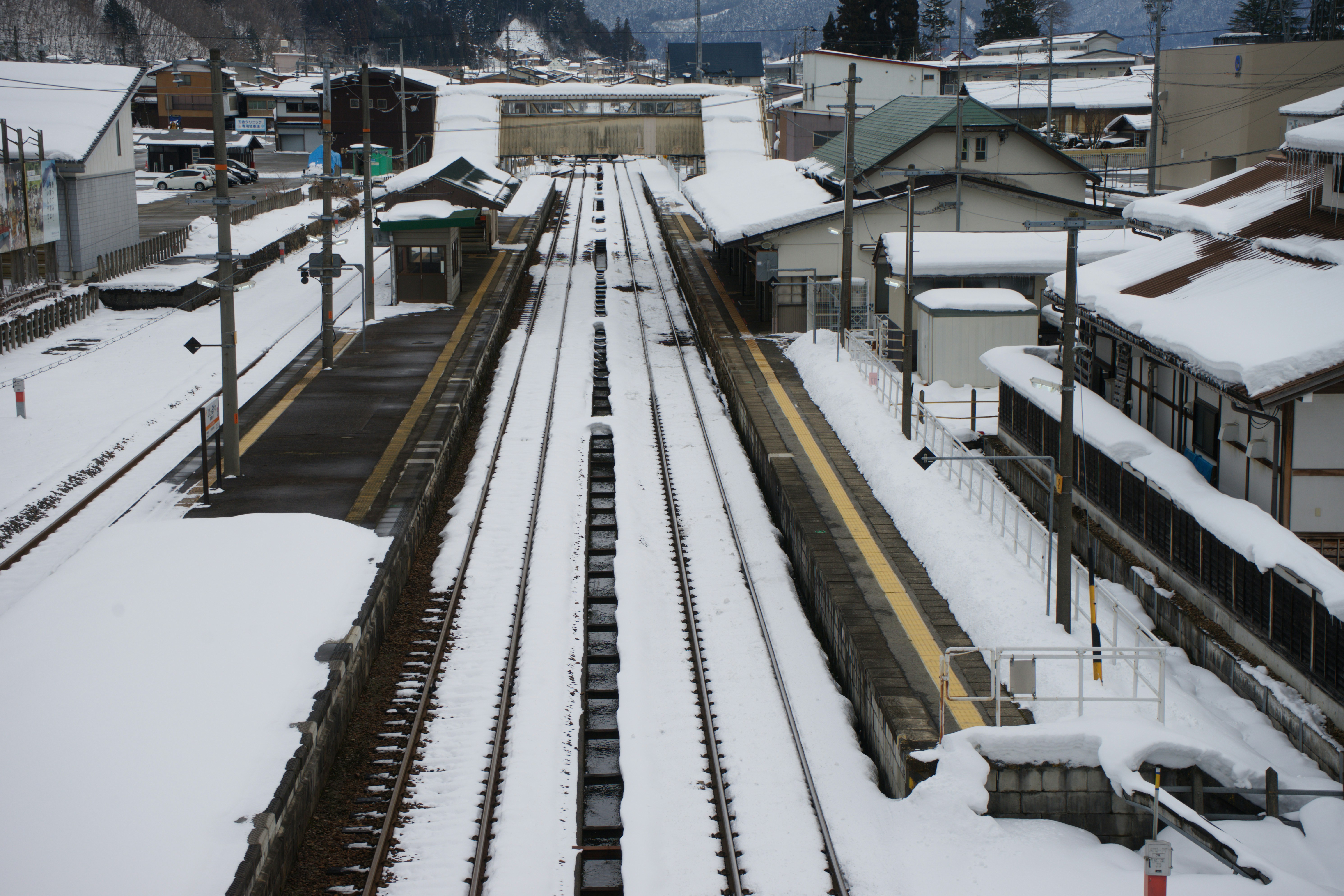 Photo by da_shika_photo