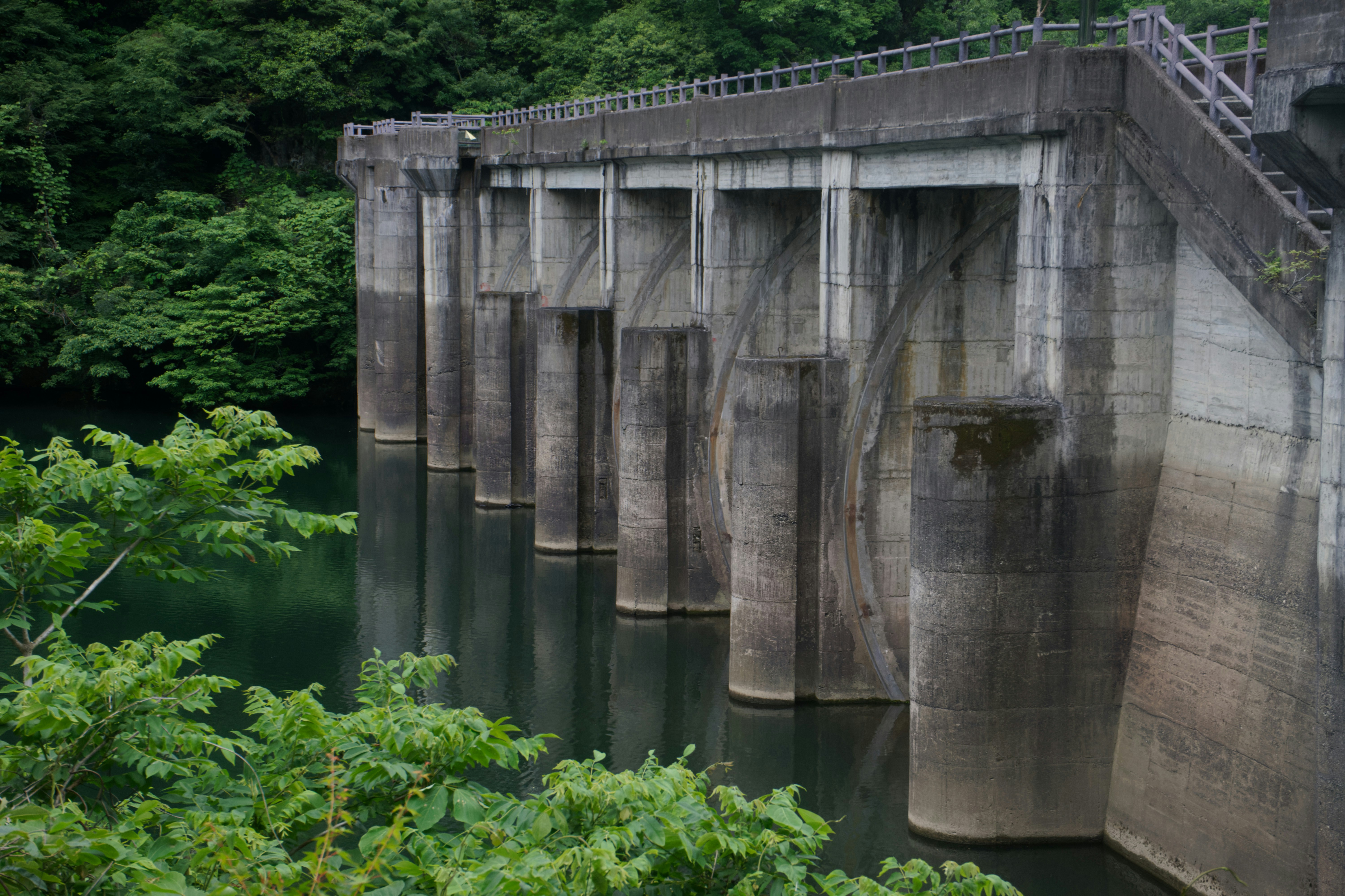 Photo by da_shika_photo