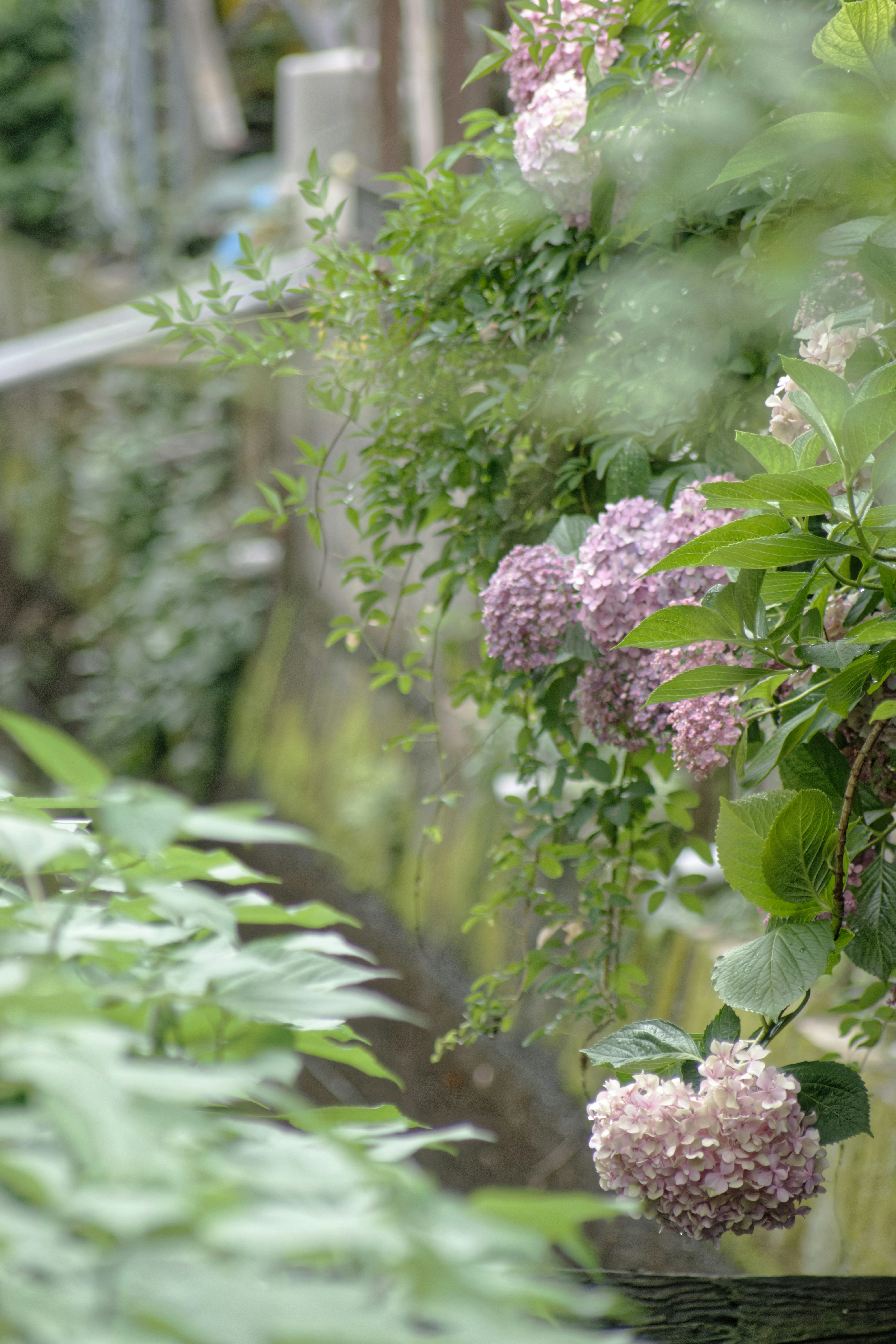 Photo by da_shika_photo