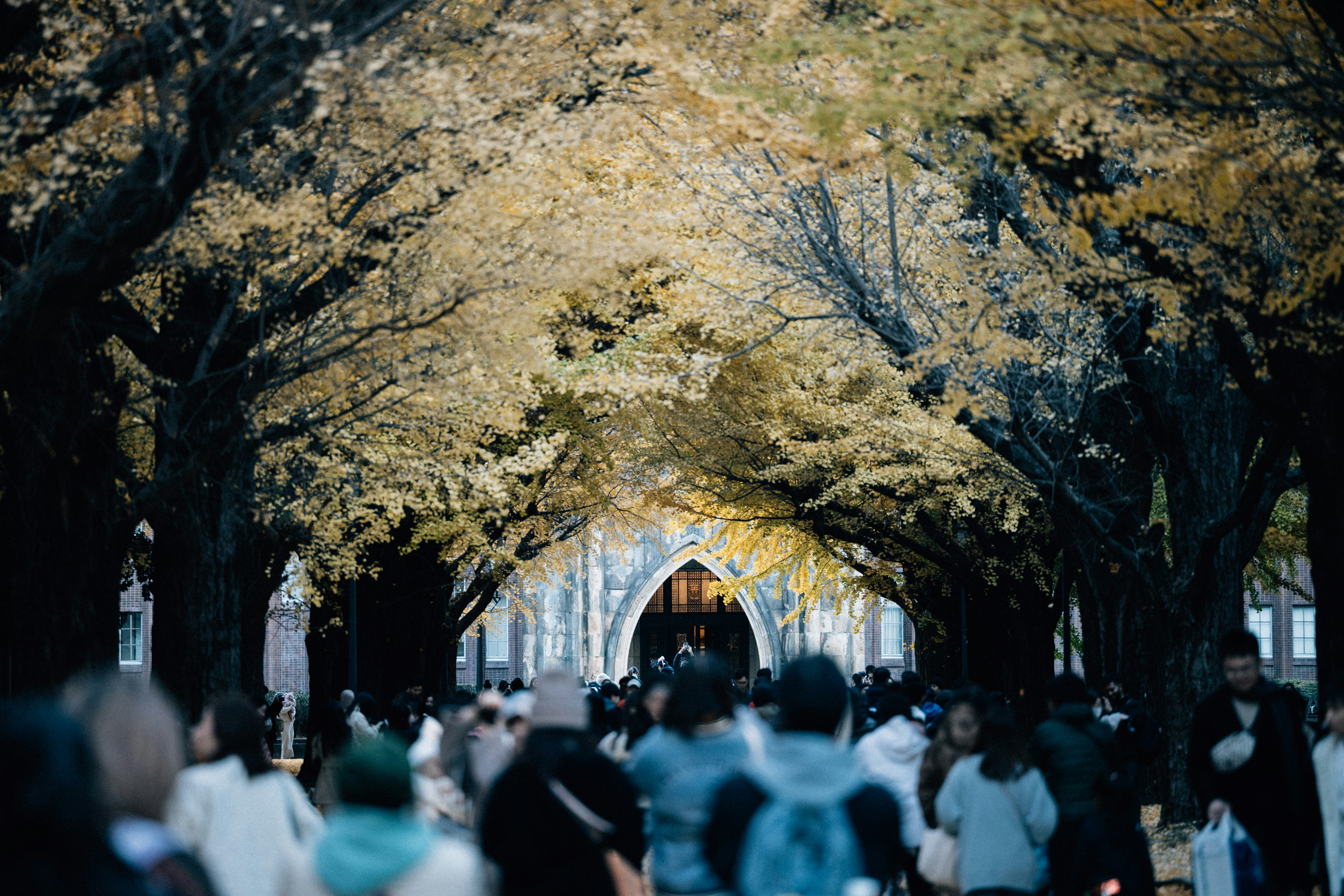 Photo by tsuyoshikozu