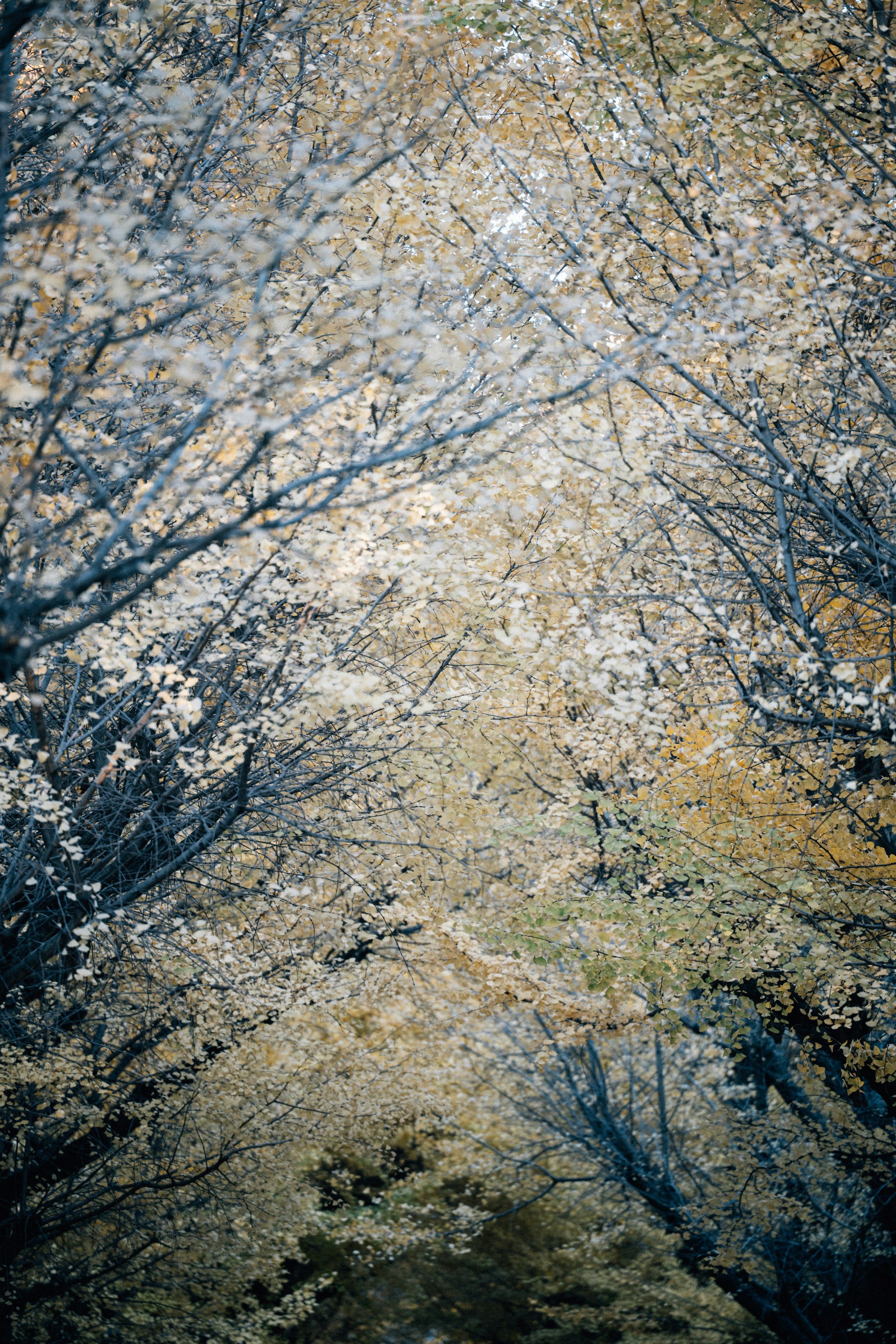 Photo by tsuyoshikozu