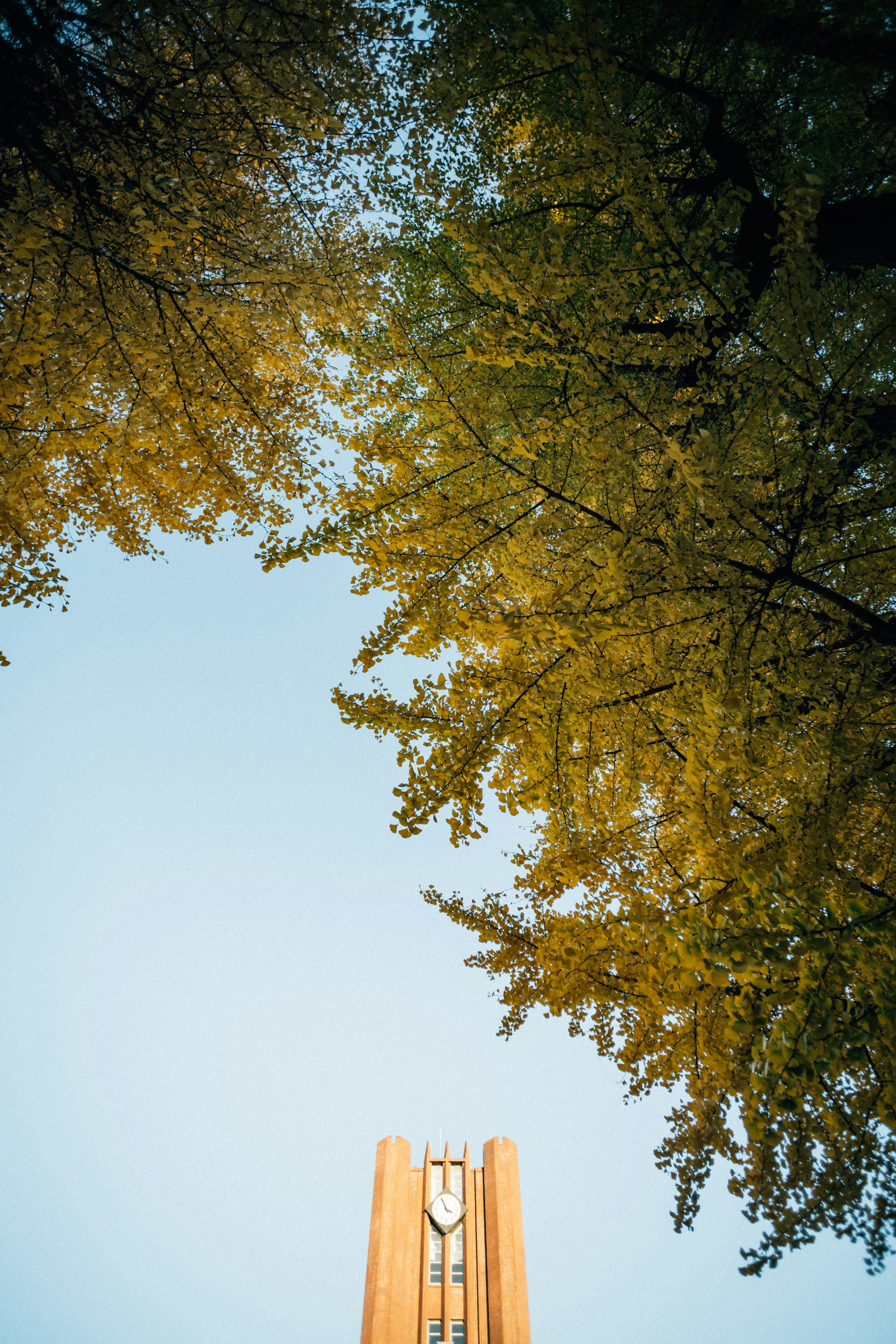 Photo by tsuyoshikozu