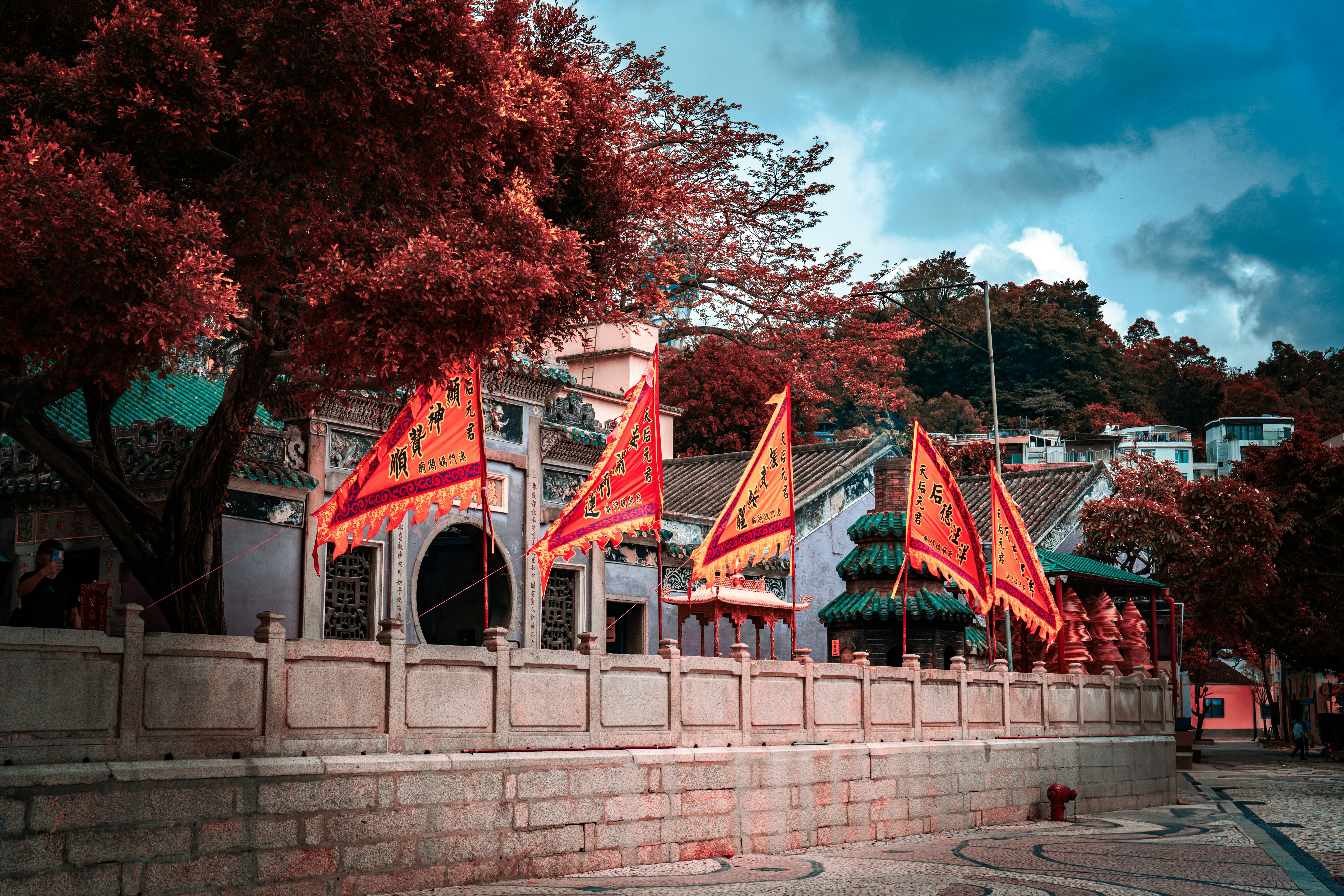 別再只會拍照打卡！文化中心隱藏功能讓你原地升級文藝青年！