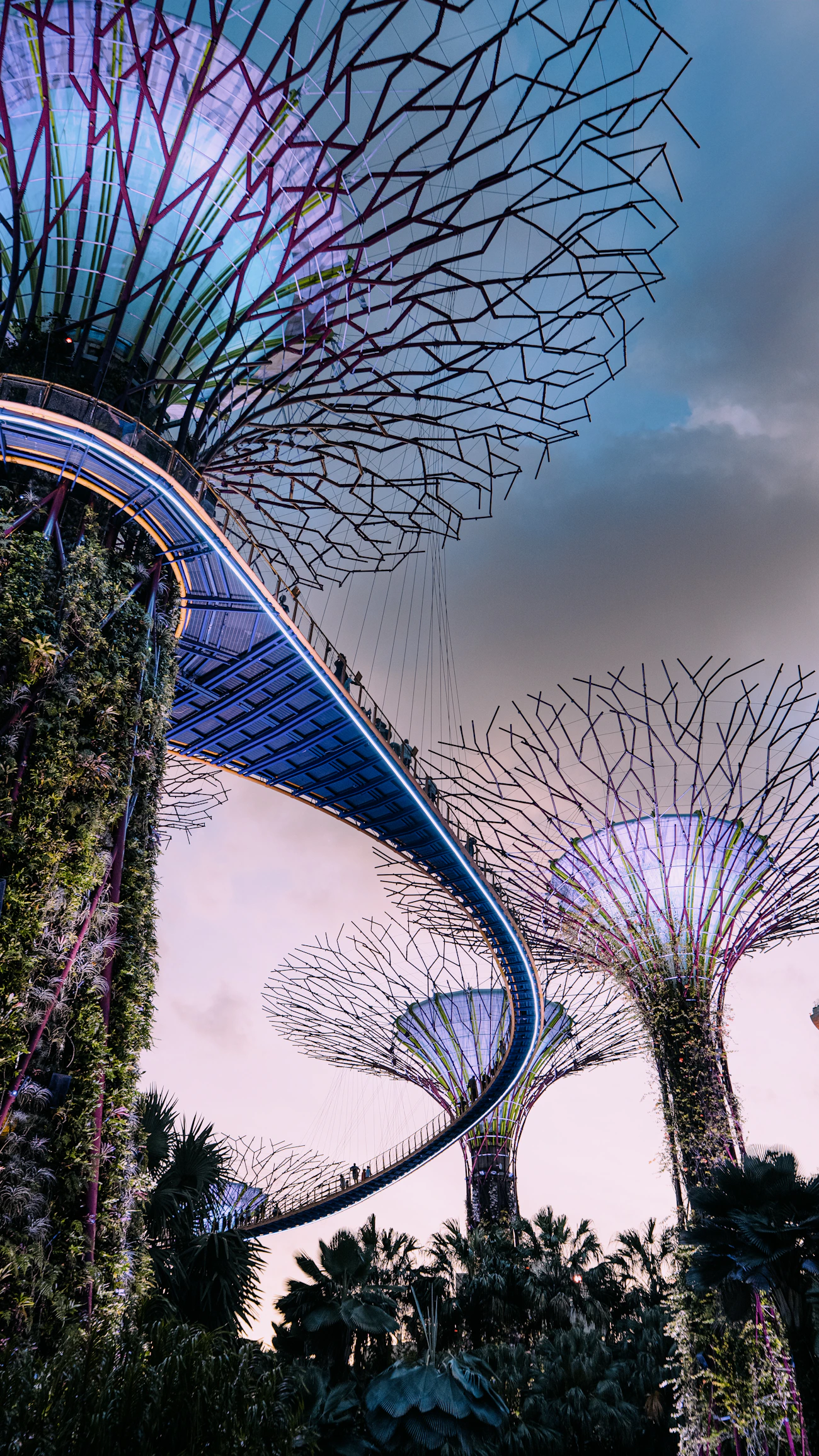 Illuminated Supertree Grove at Gardens by the Bay, Singapore