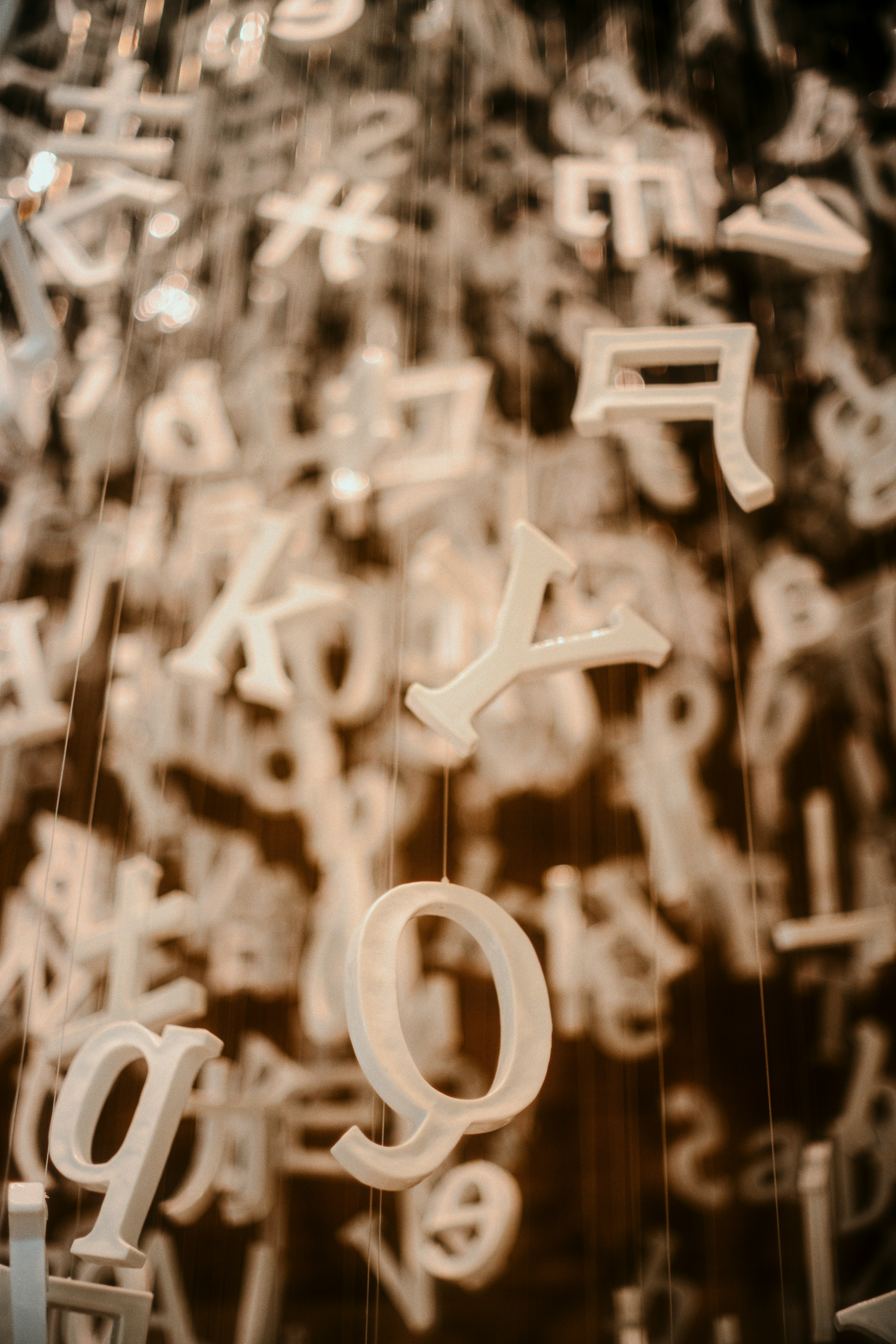 Photo by ninjason