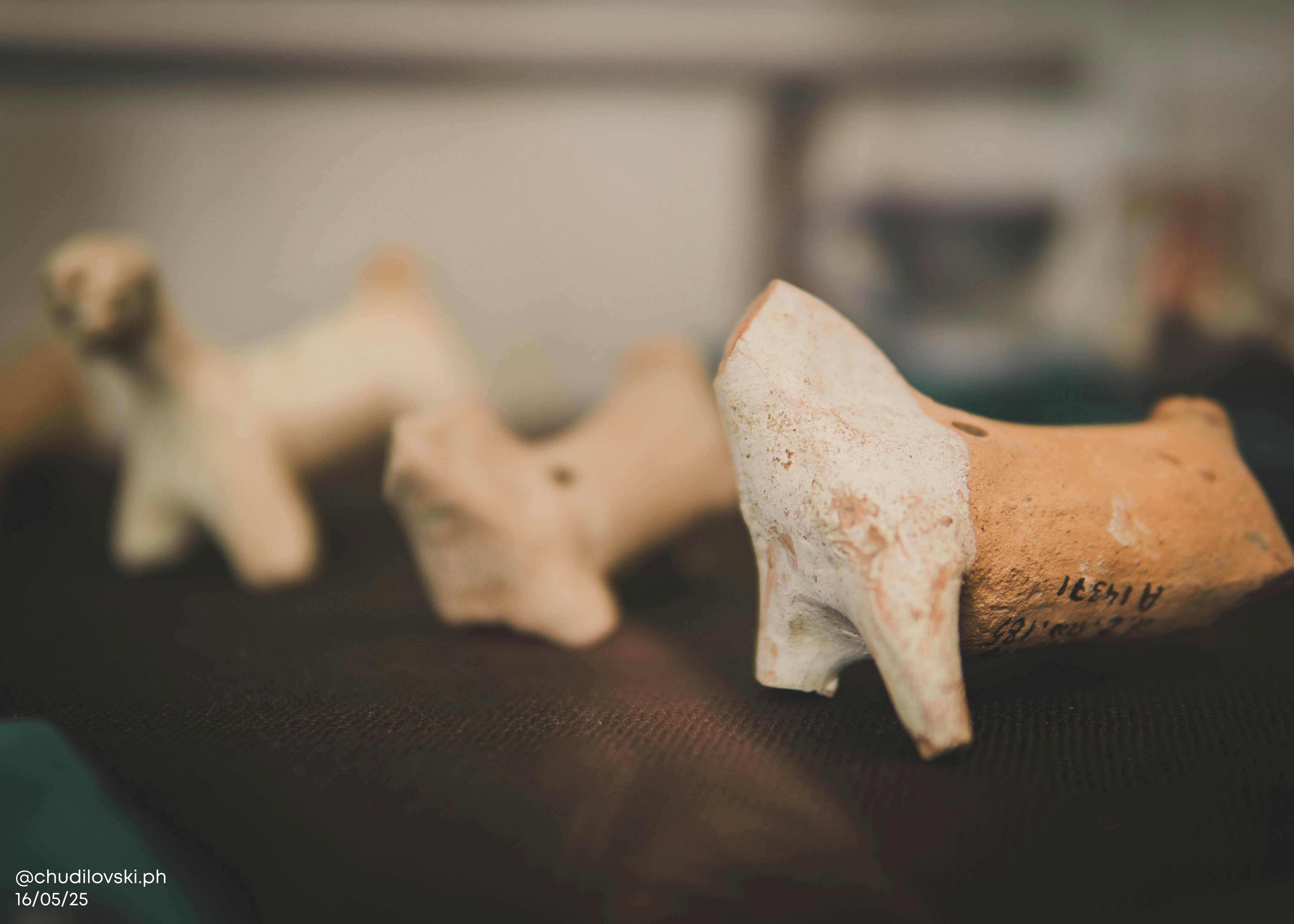 Photo by chudilovski_ph