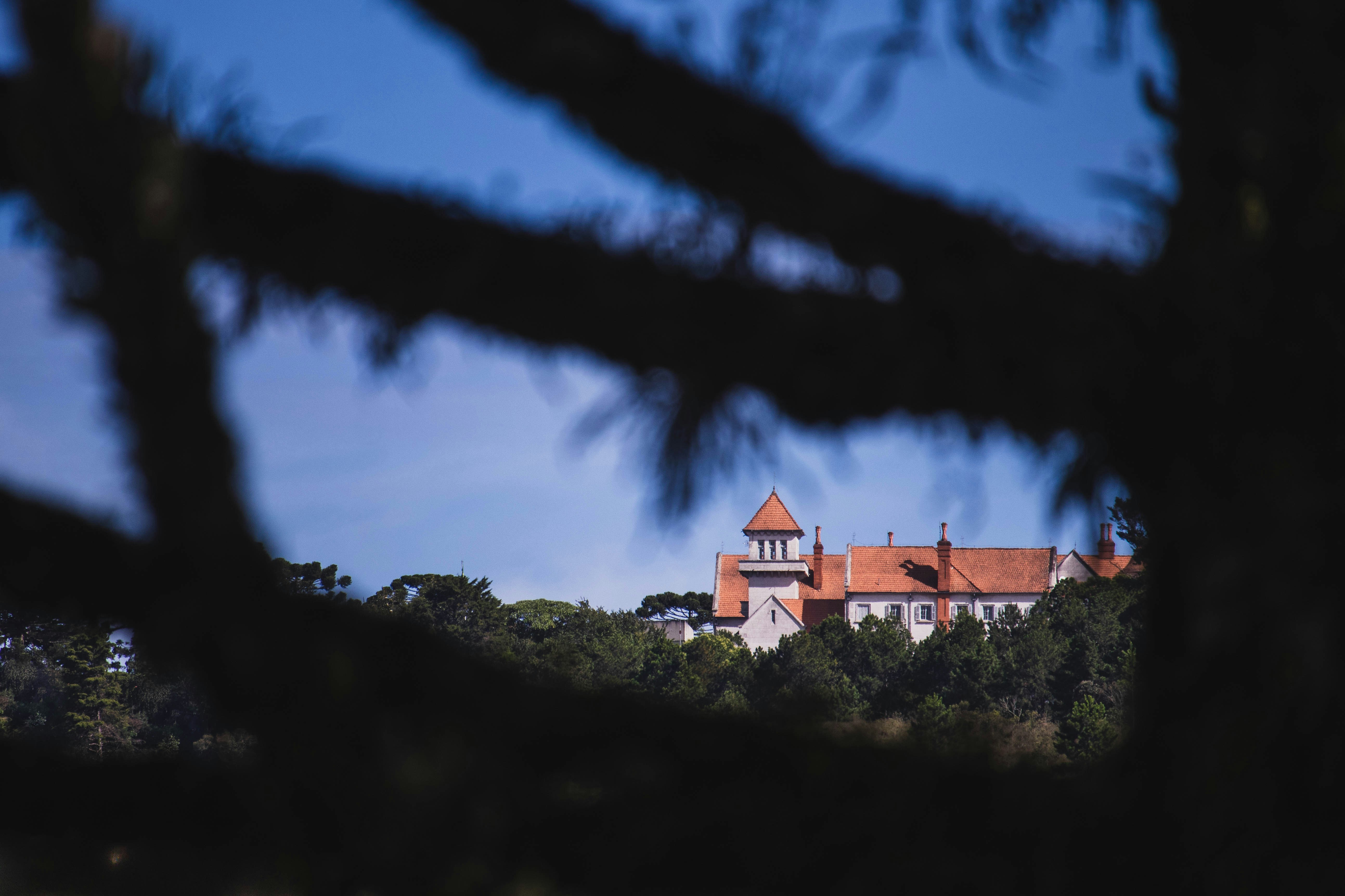 A building is framed by tree branches.