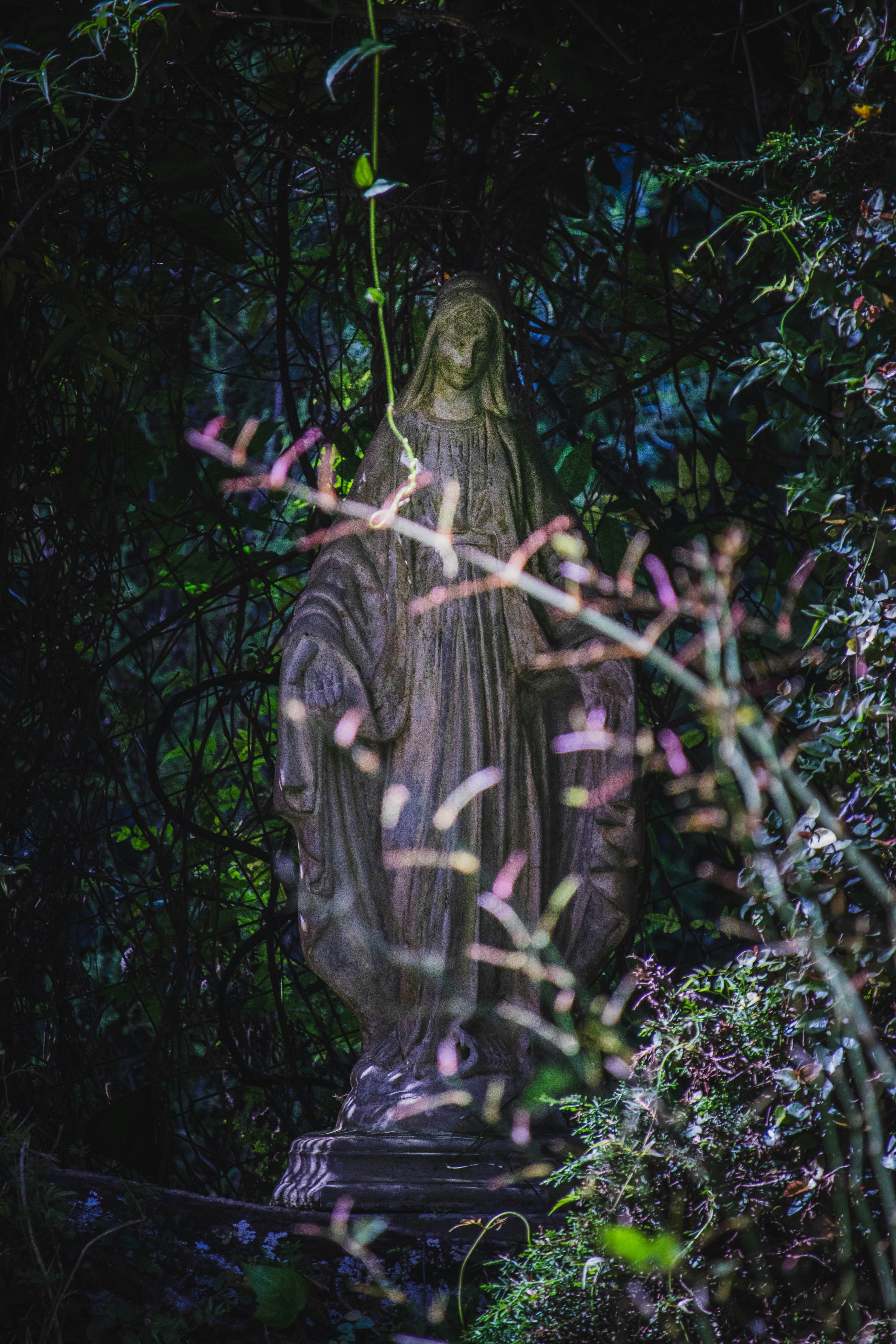 Photo by theguilhermeramos