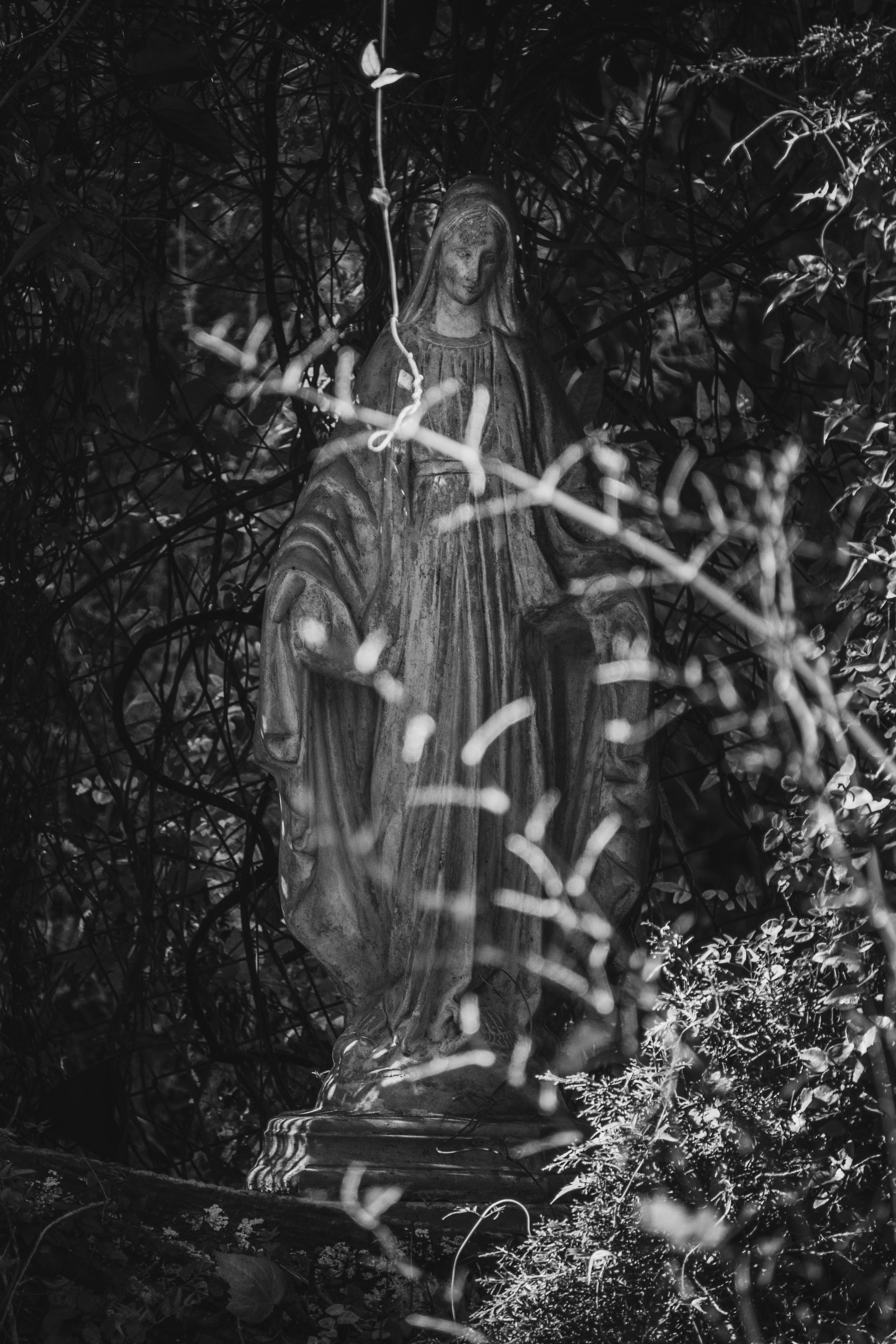 Photo by theguilhermeramos