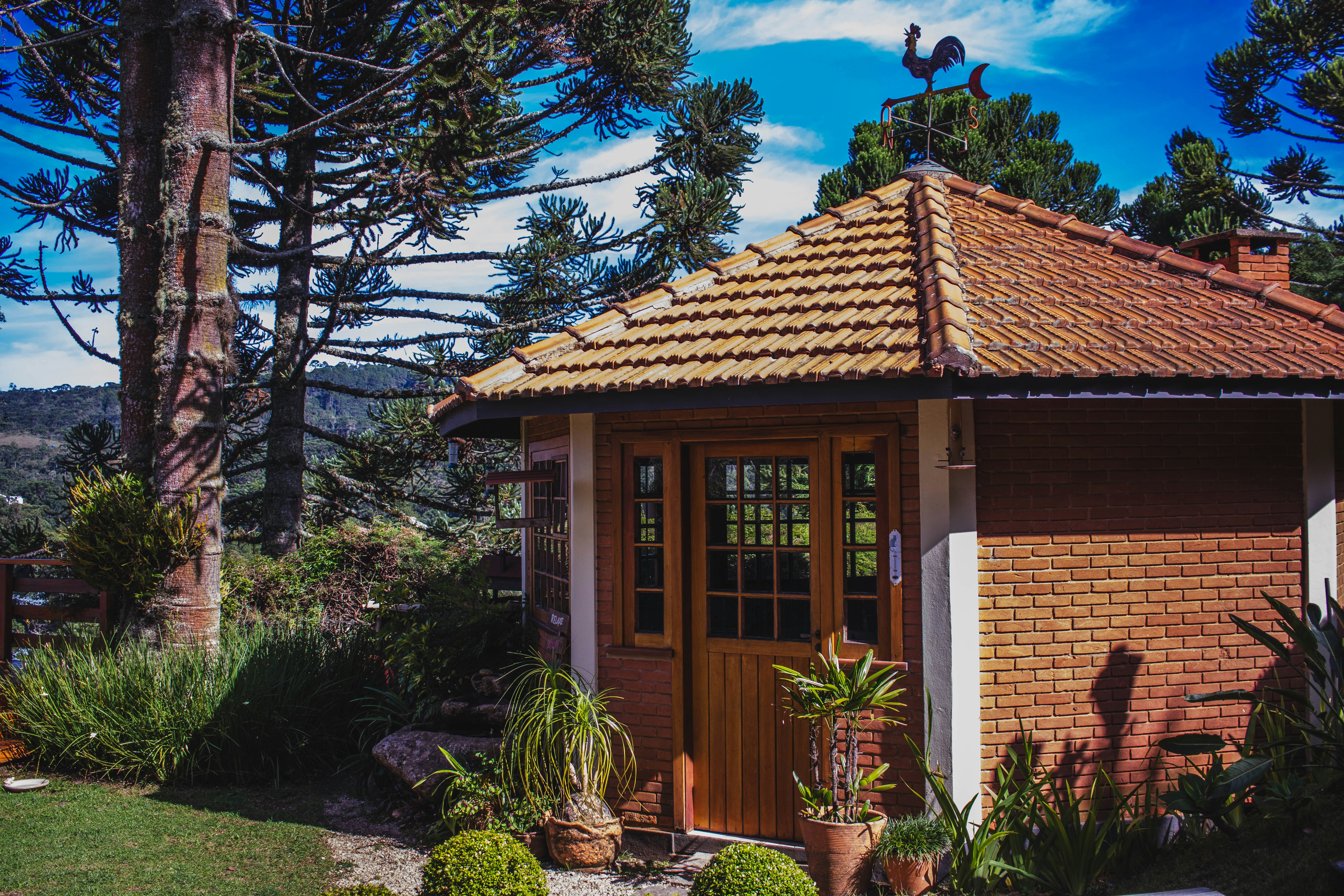 Cozy brick cottage with plants in the garden.