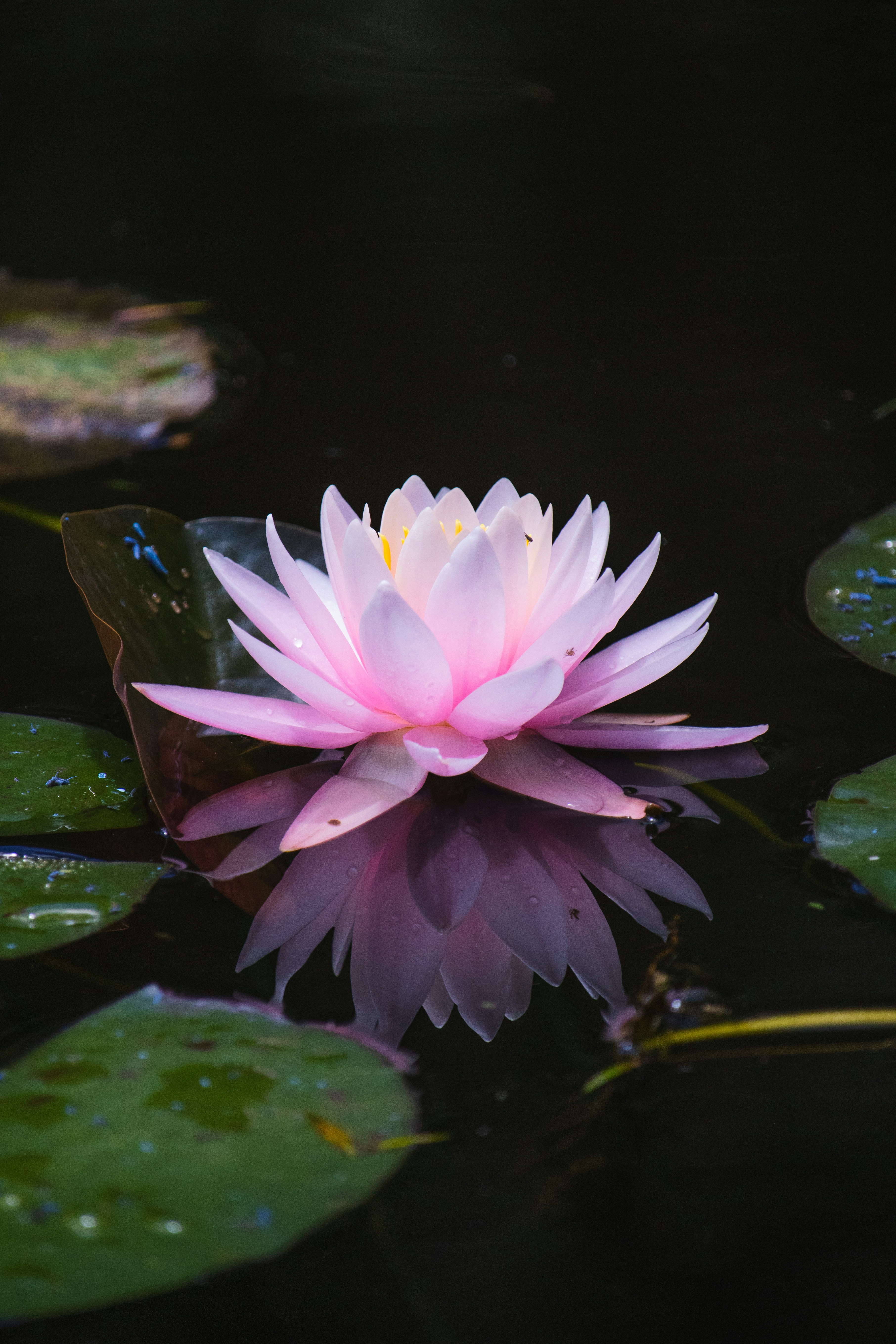 Photo by theguilhermeramos