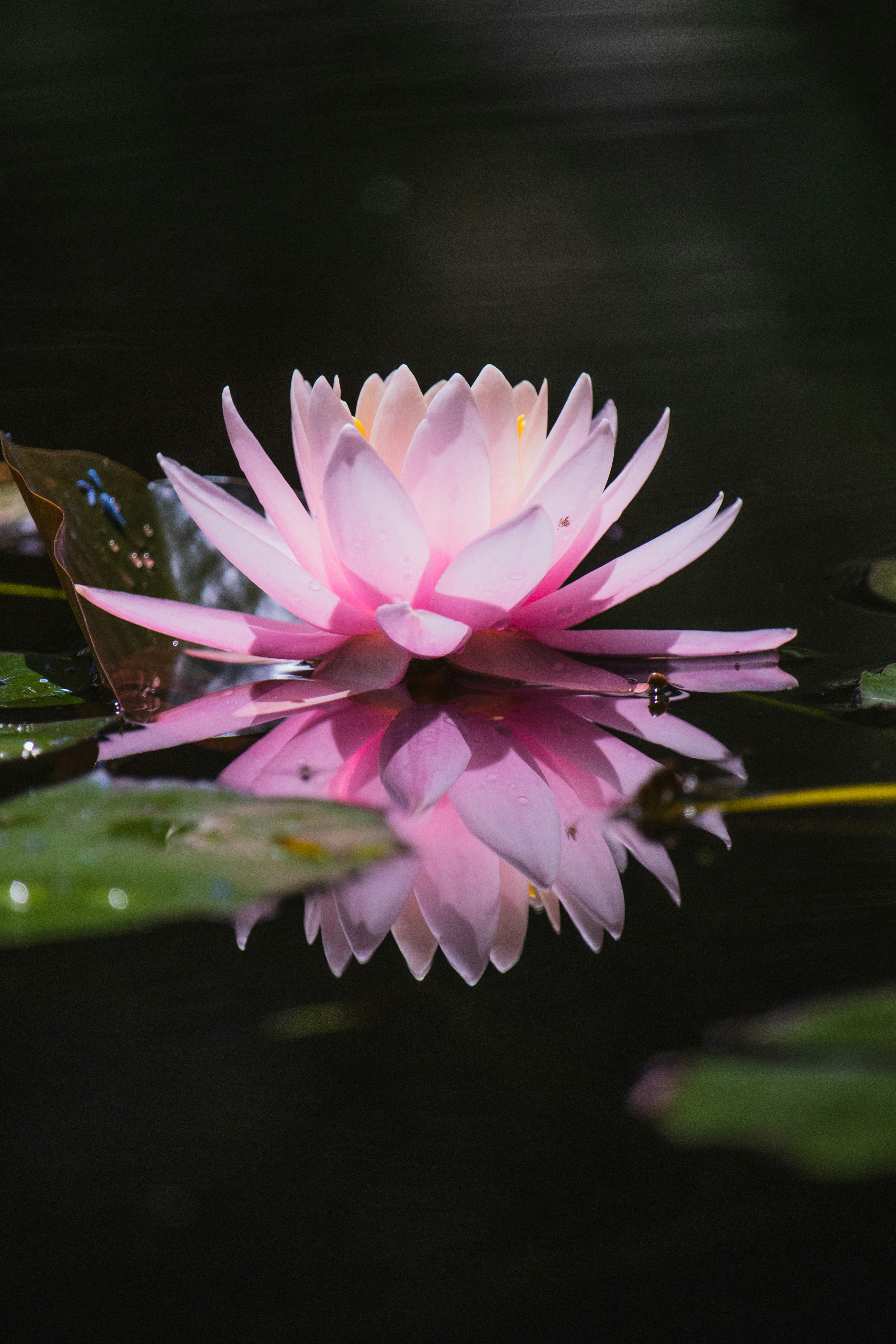 Photo by theguilhermeramos