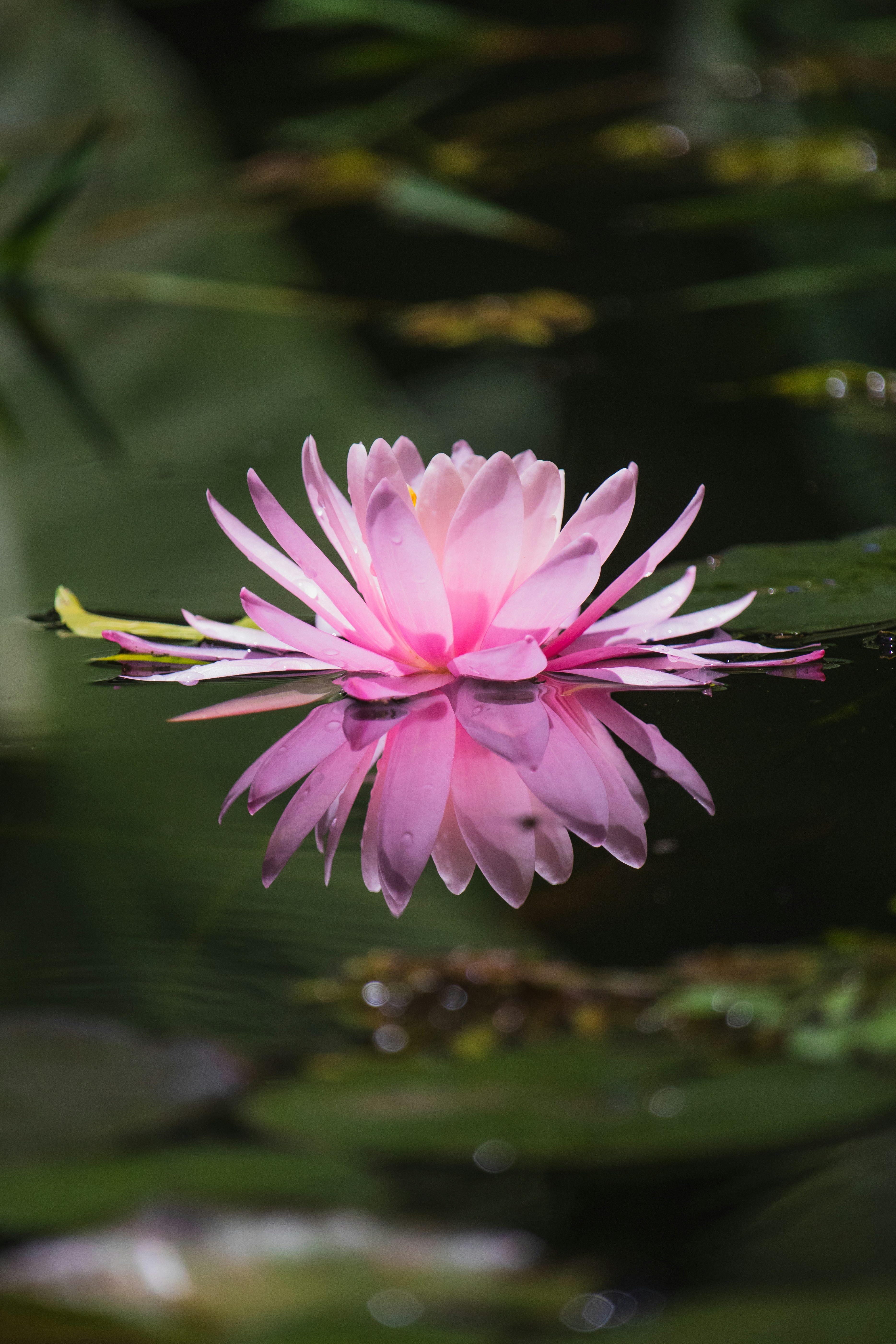 Photo by theguilhermeramos