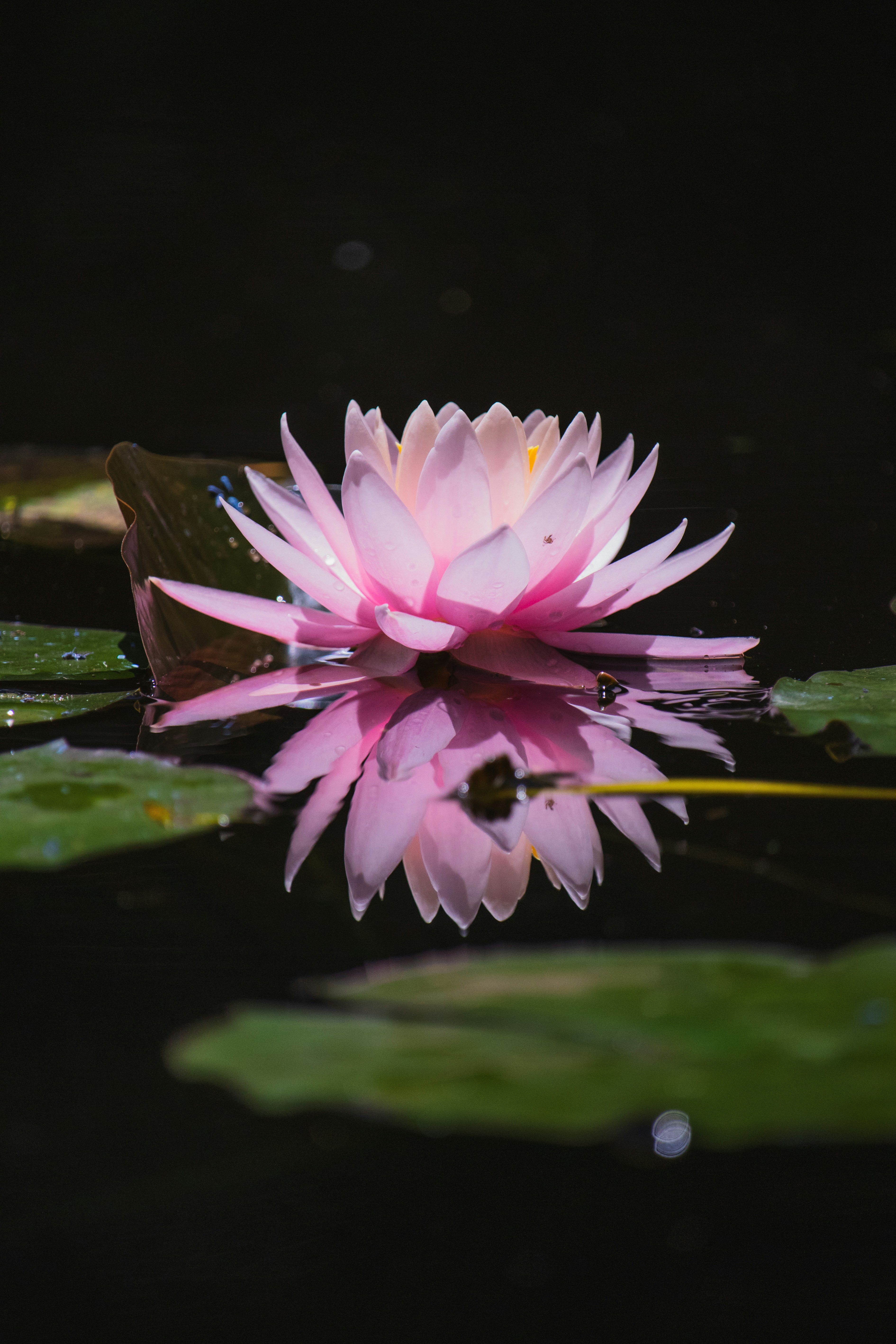 Photo by theguilhermeramos