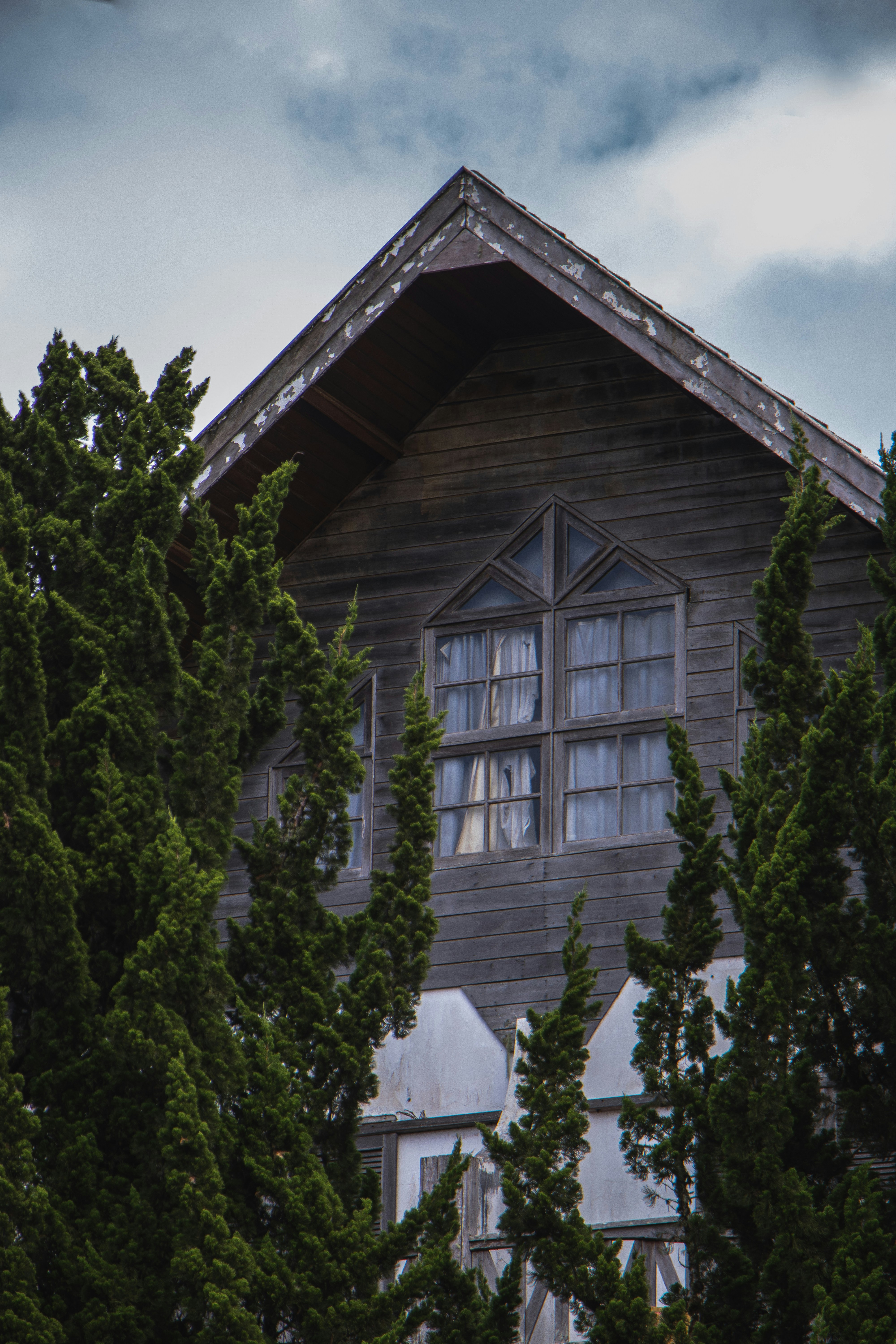 Photo by theguilhermeramos